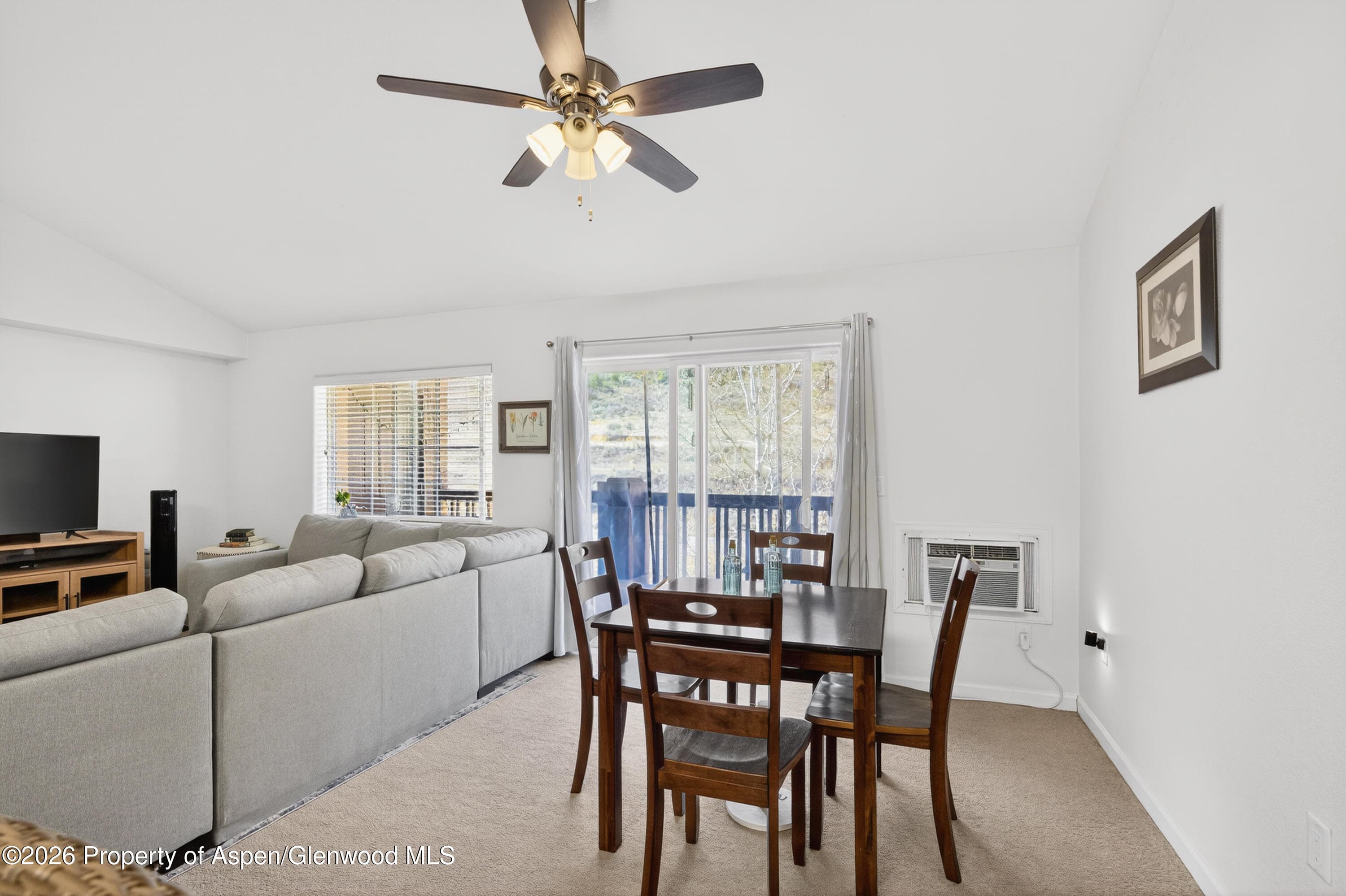 560 River View Drive 706, New Castle, CO 81647 - Photo 7