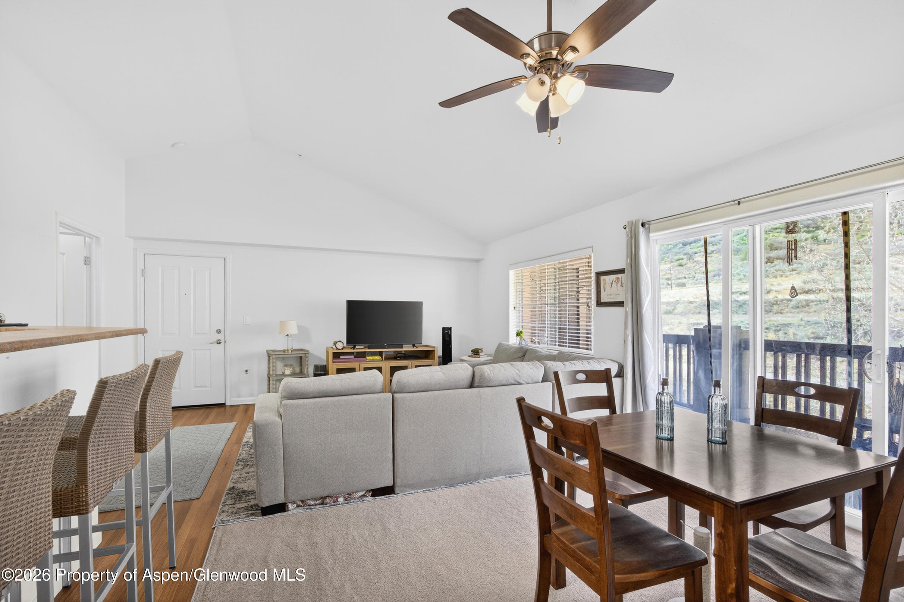 560 River View Drive 706, New Castle, CO 81647 - Photo 8