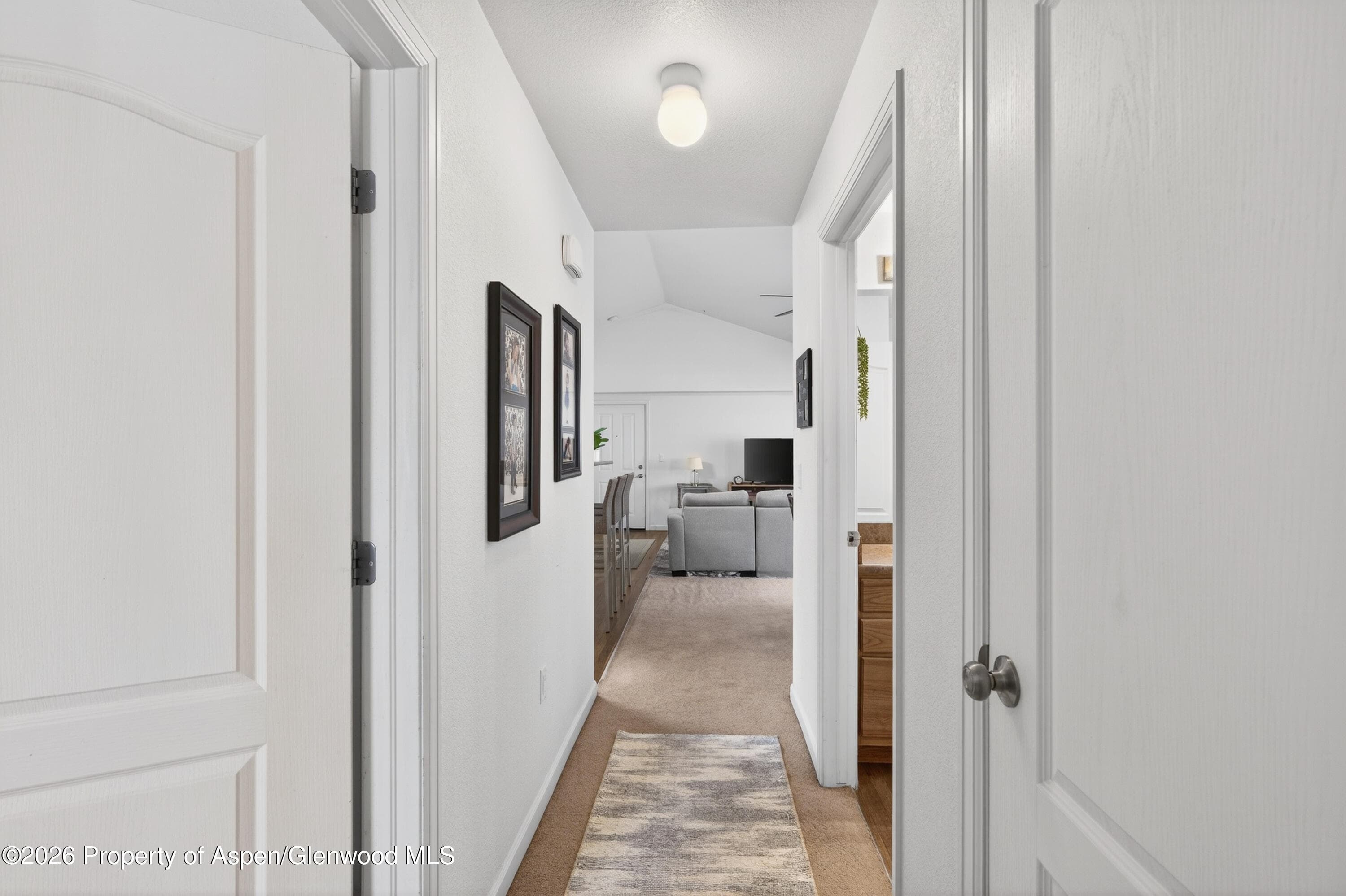 560 River View Drive 706, New Castle, CO 81647 - Photo 18