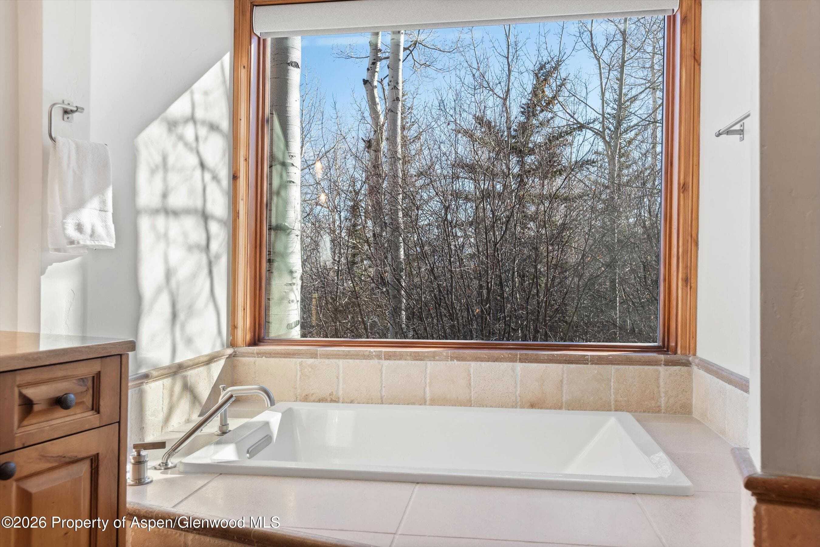 364 Ridge Road, Snowmass Village, CO 81615 - Photo 22