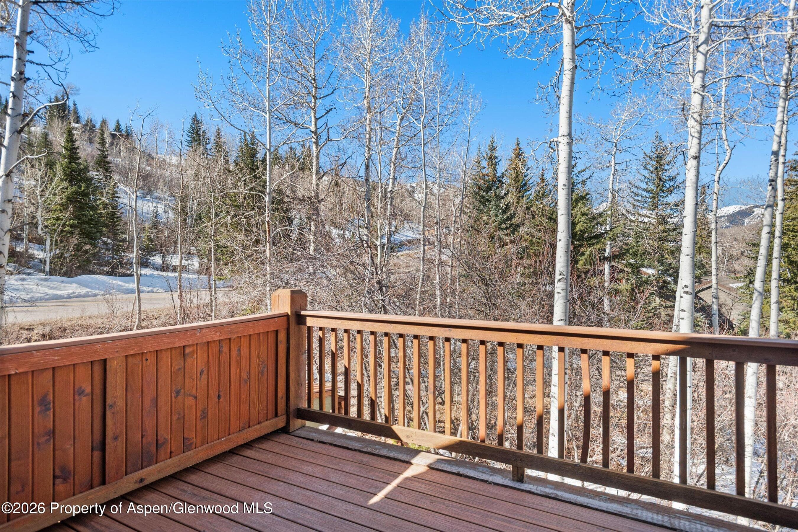 364 Ridge Road, Snowmass Village, CO 81615 - Photo 47