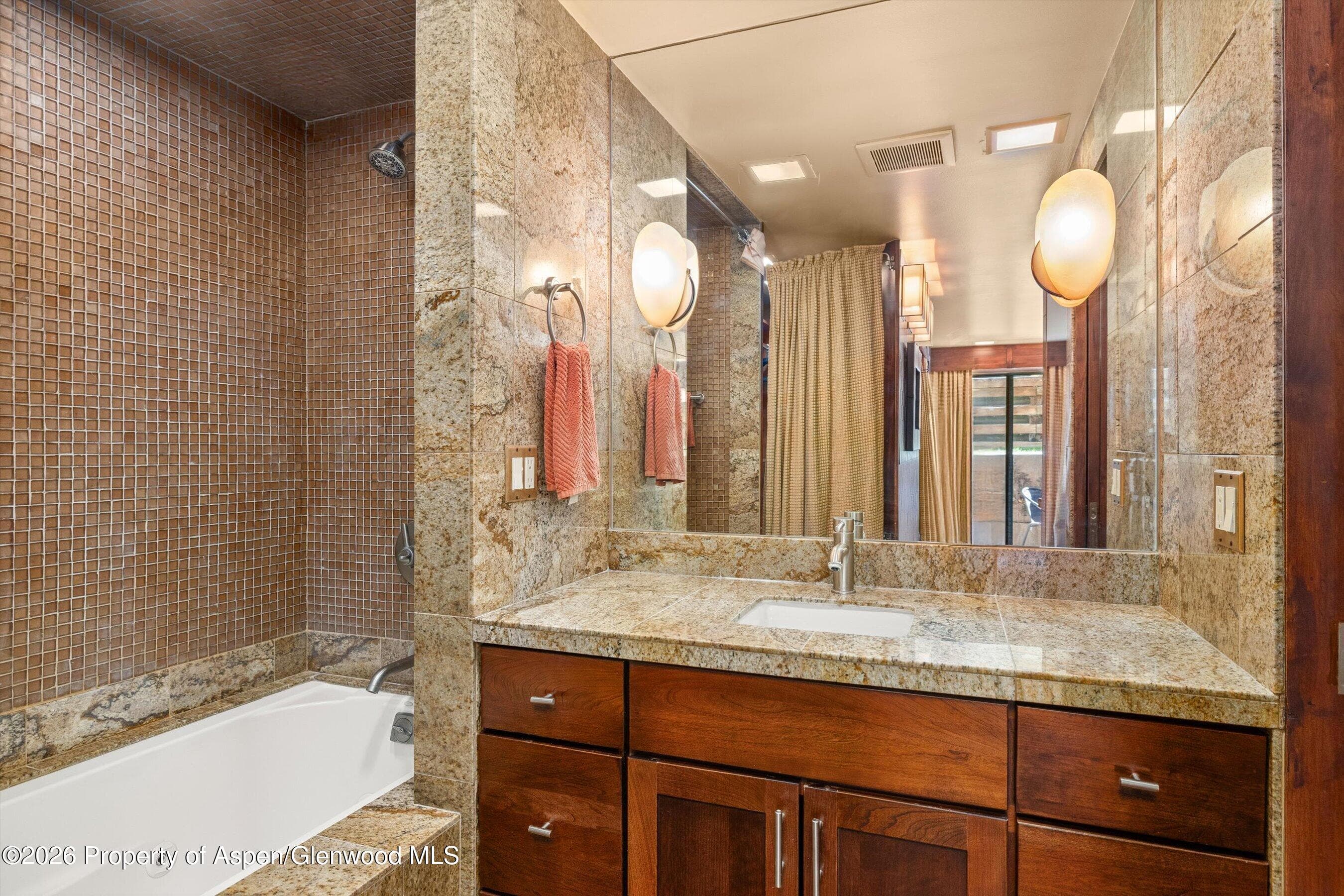 935 E Hopkins Avenue 4, Aspen, CO 81611 - Photo 7