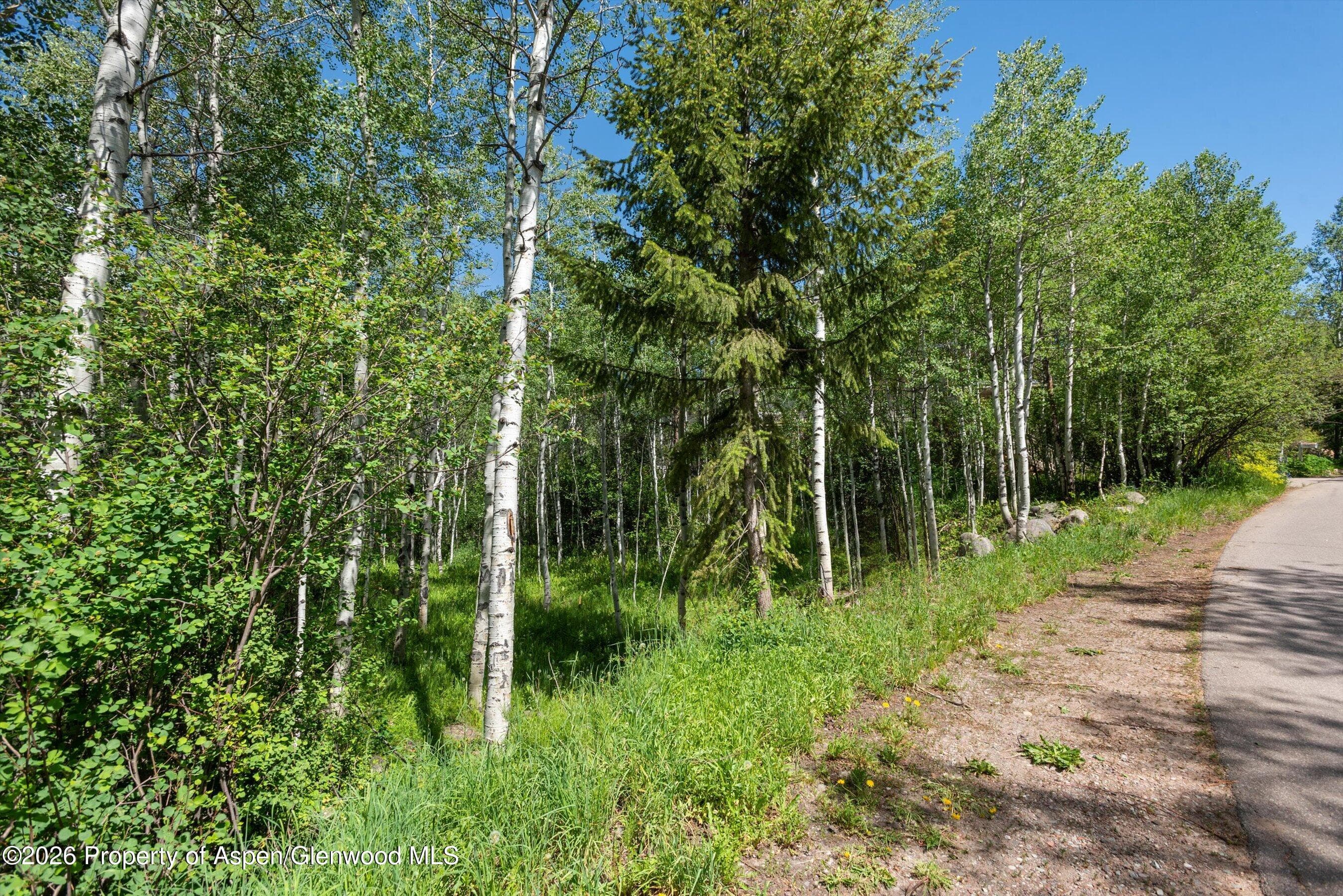 1265 Riverside Drive, Aspen, CO 81611 - Photo 7