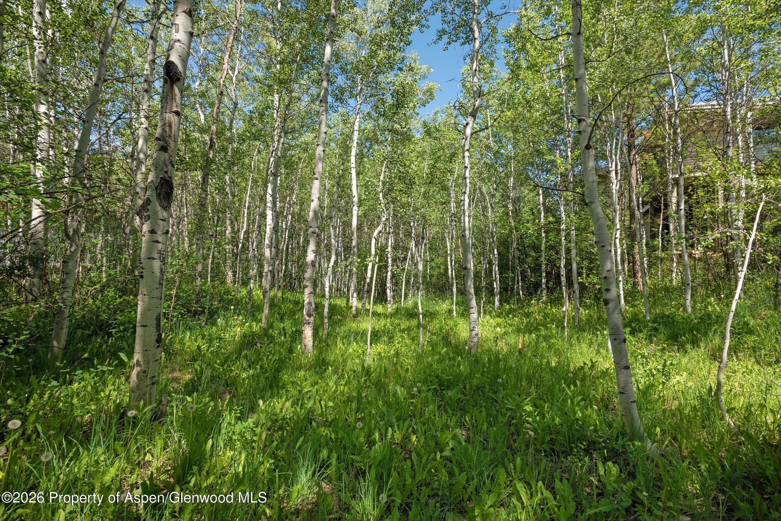 1265 Riverside Drive, Aspen, CO 81611 - Photo 8
