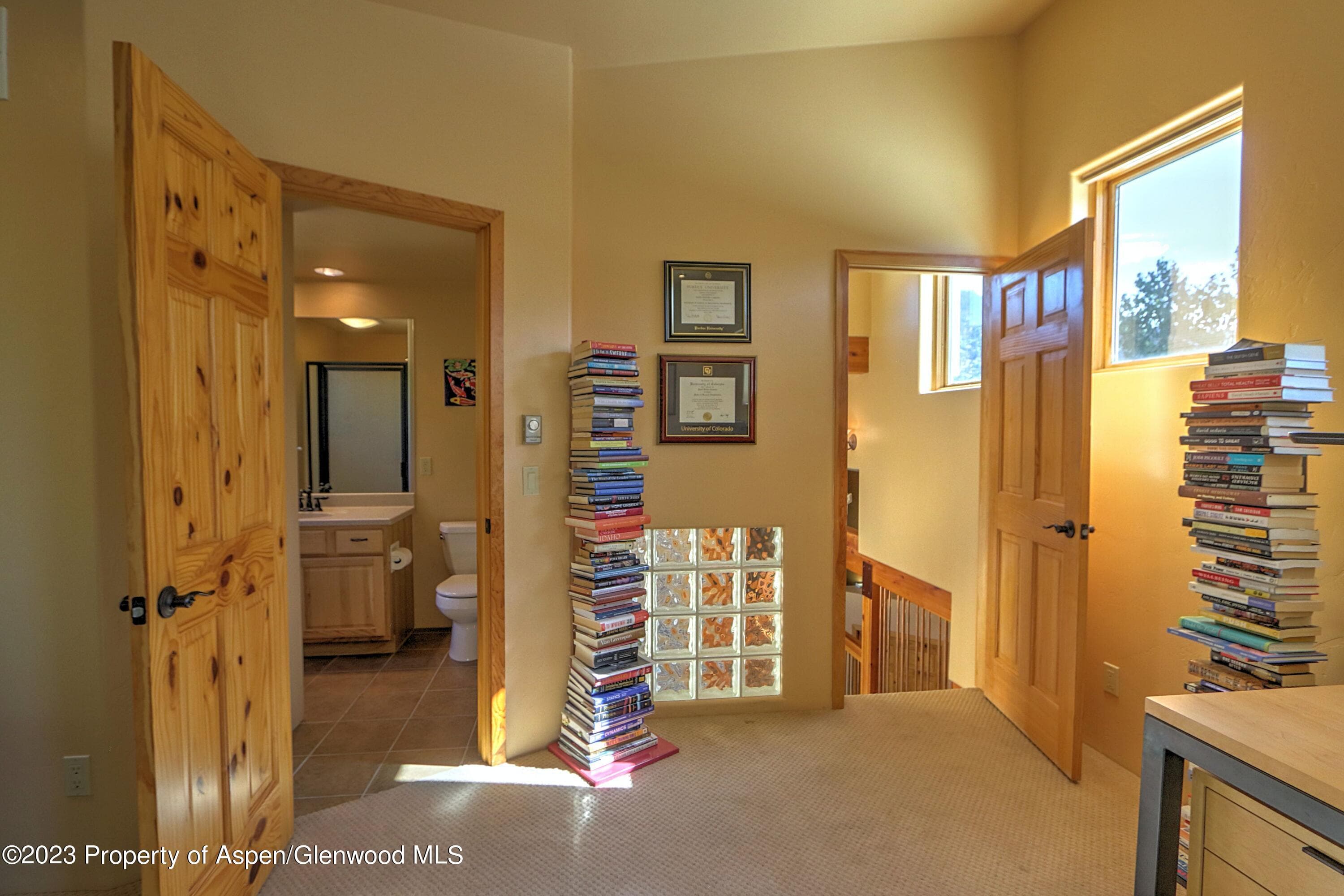 908 Red Mountain Drive, Glenwood Springs, CO 81601 - Photo 21
