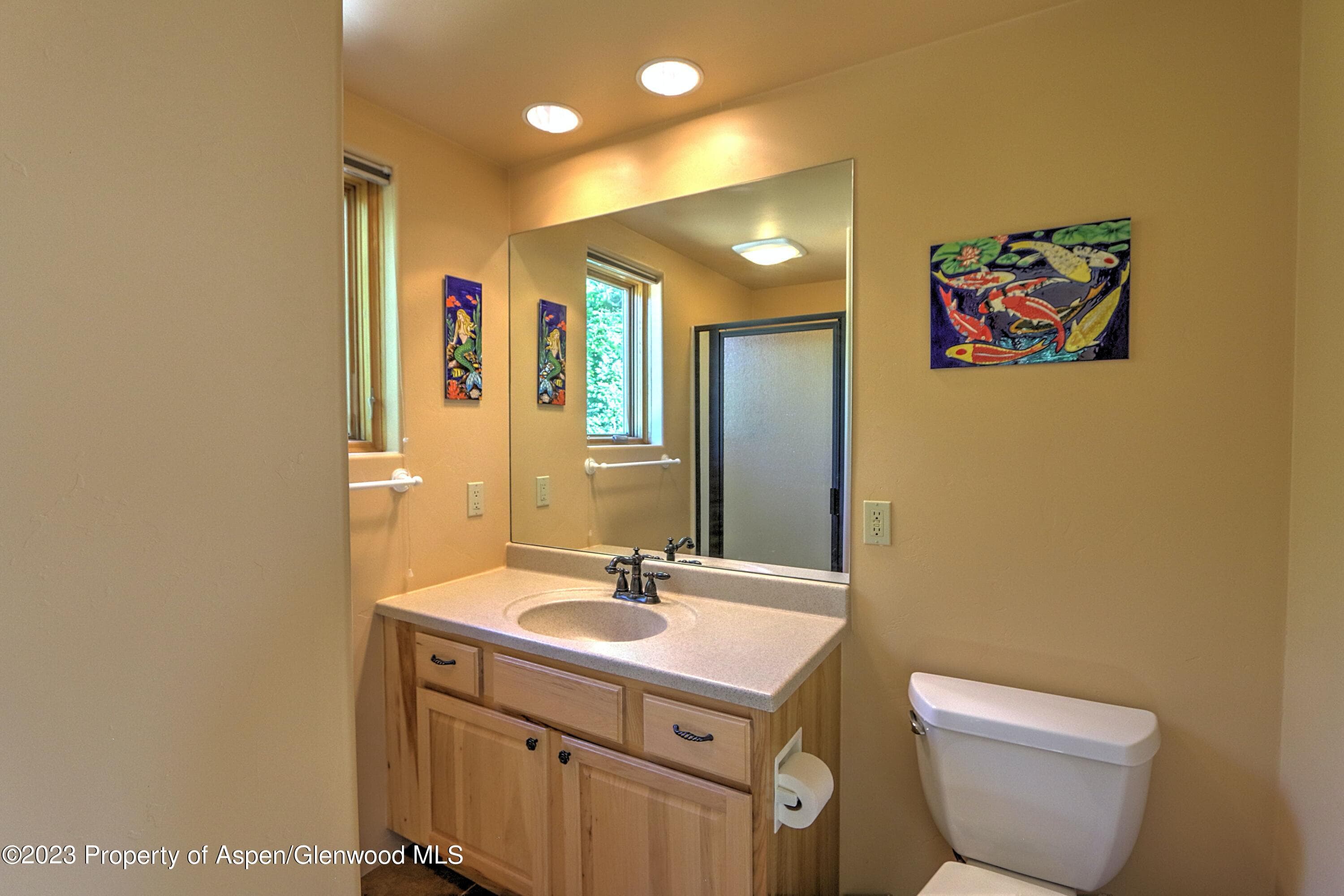 908 Red Mountain Drive, Glenwood Springs, CO 81601 - Photo 22