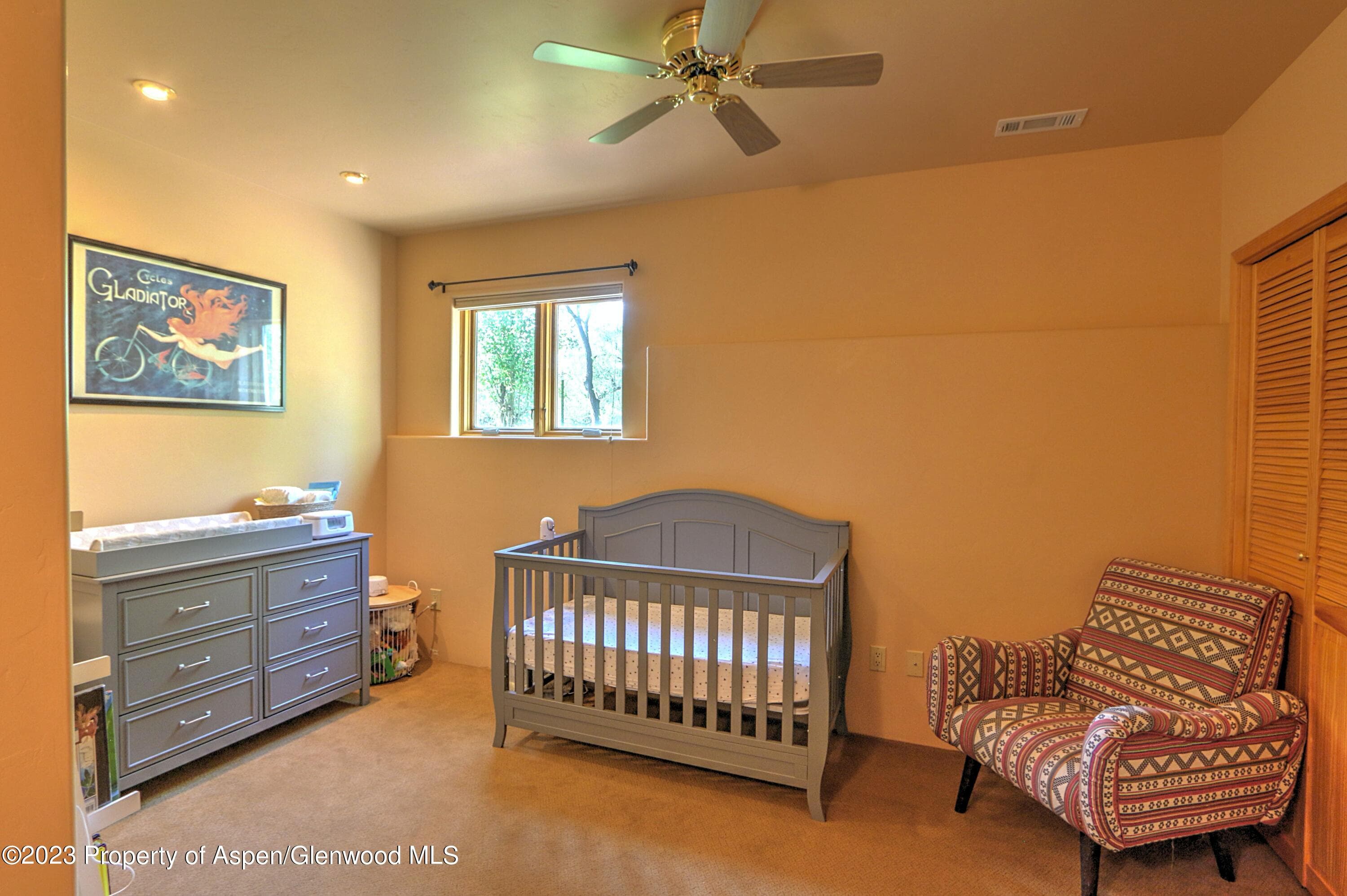 908 Red Mountain Drive, Glenwood Springs, CO 81601 - Photo 27