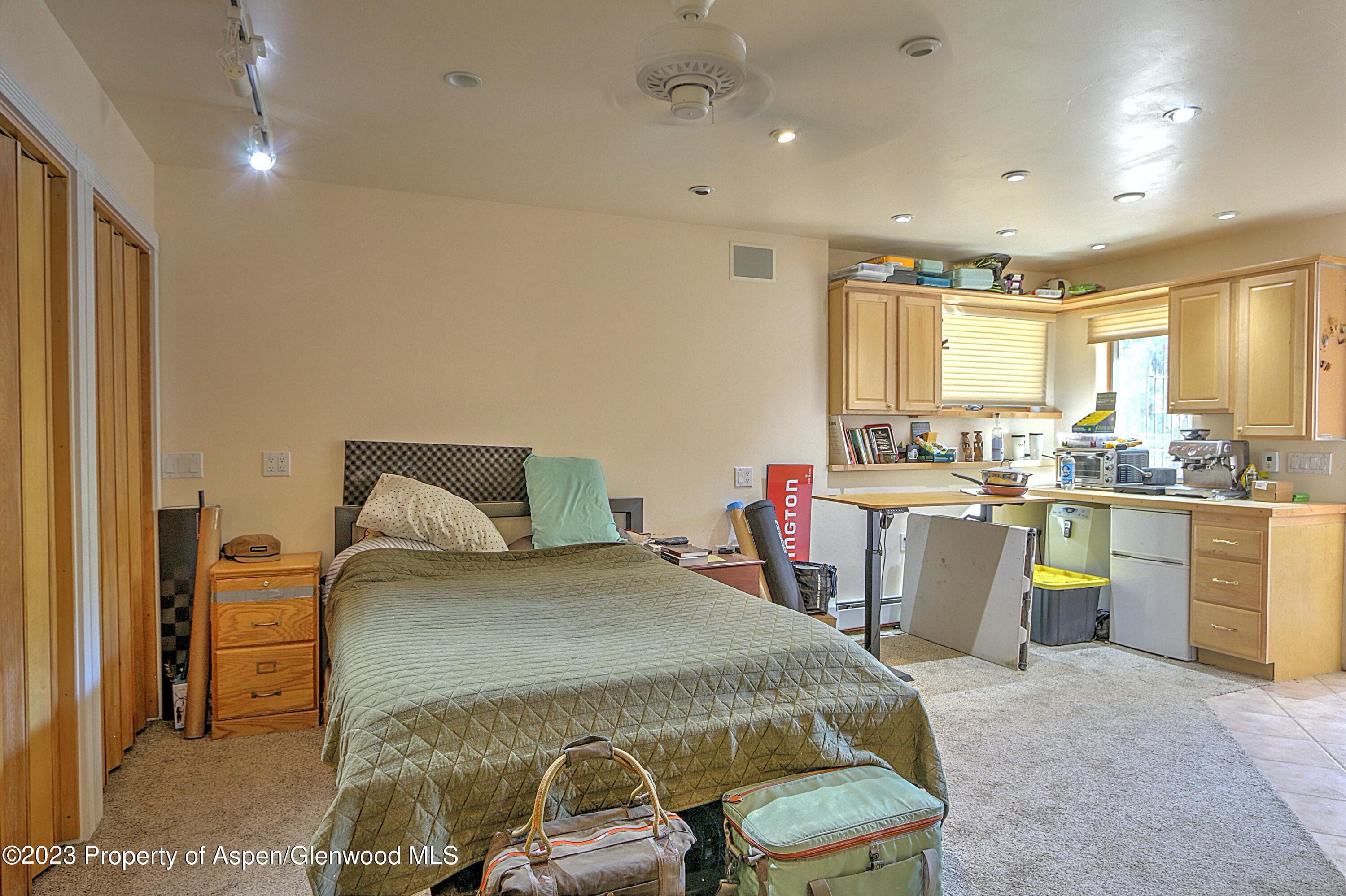908 Red Mountain Drive, Glenwood Springs, CO 81601 - Photo 37