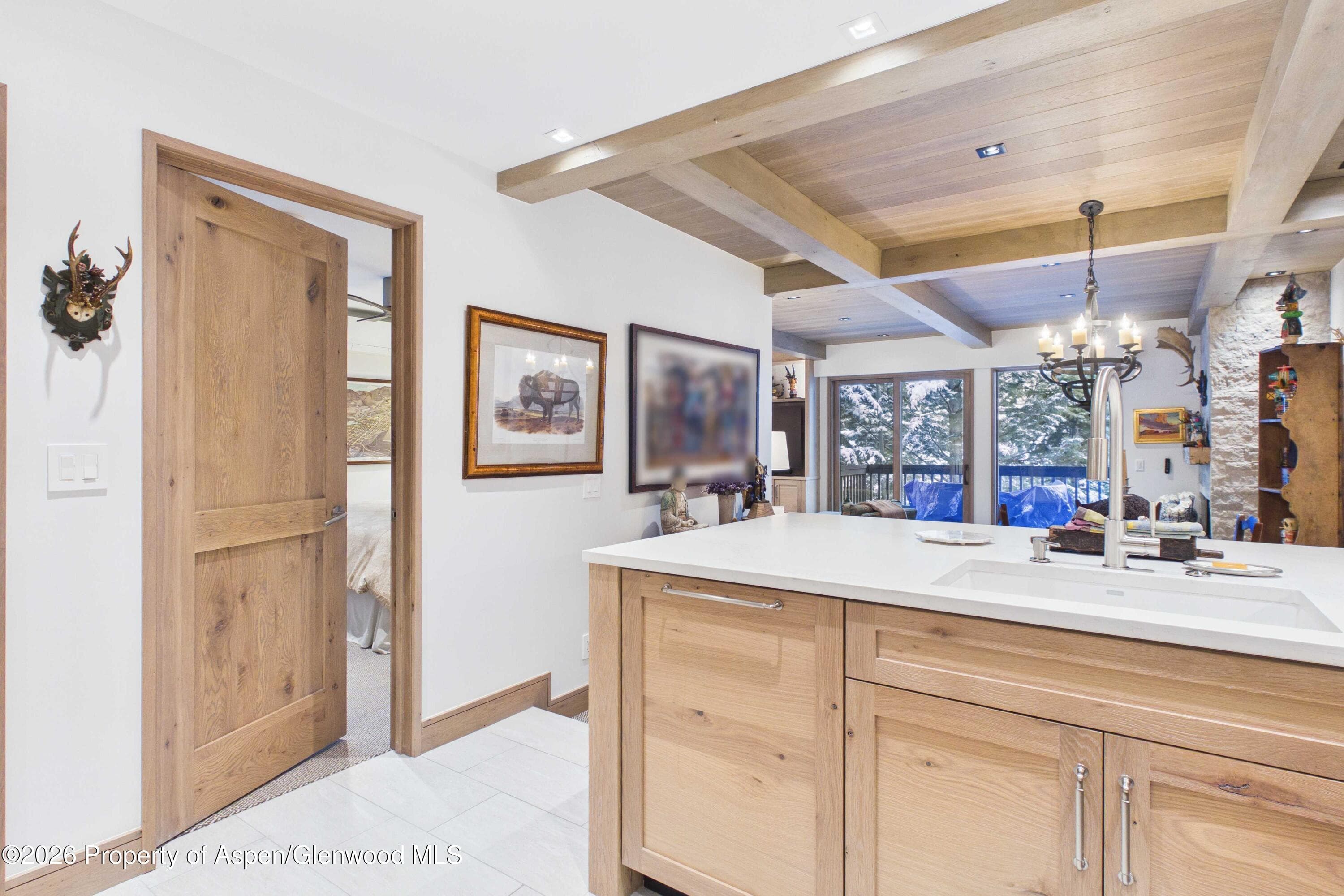 610 S West End Street G201, Aspen, CO 81611 - Photo 10