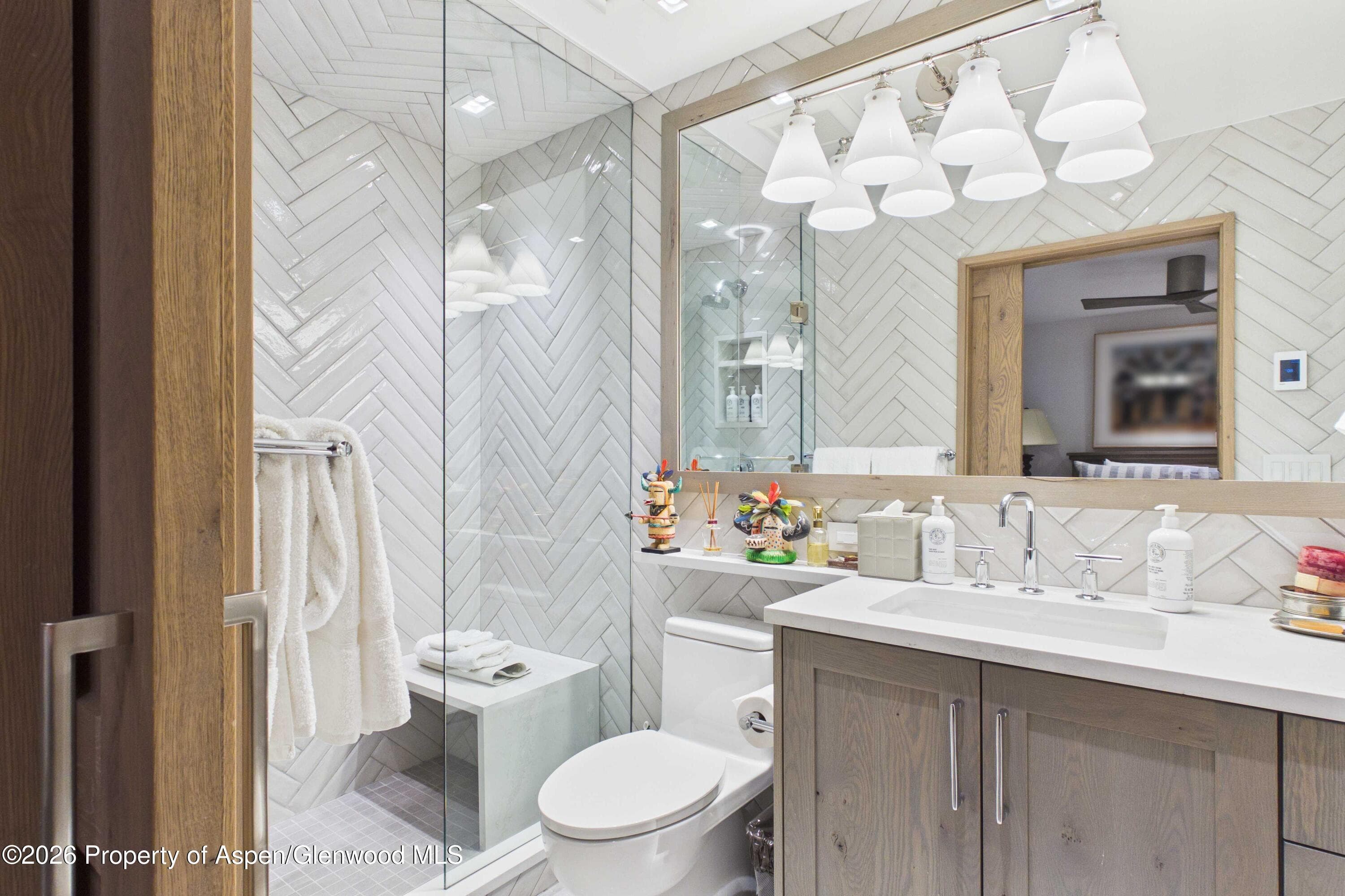 610 S West End Street G201, Aspen, CO 81611 - Photo 14