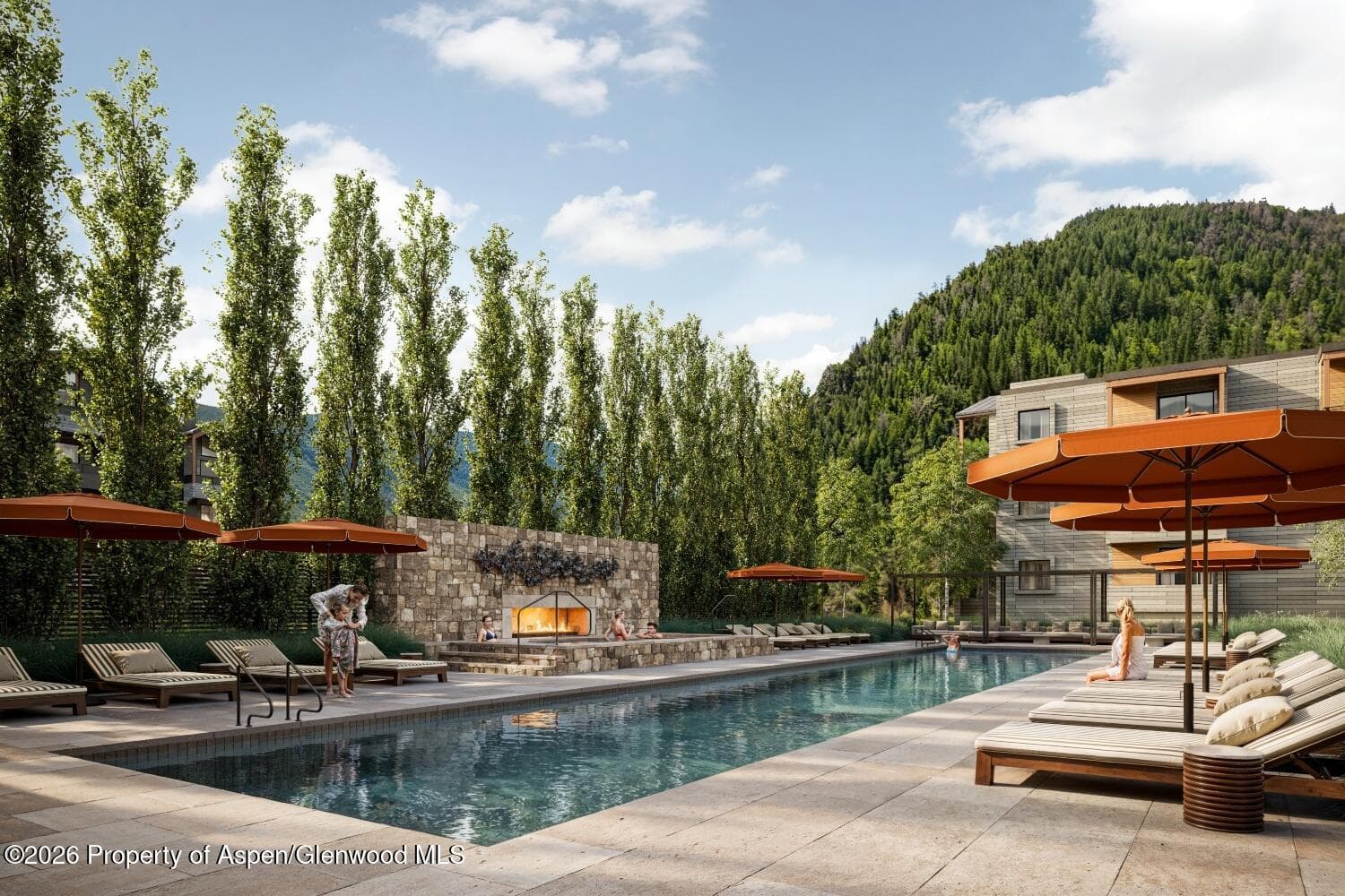 610 S West End Street D201, Aspen, CO 81611 - Photo 24