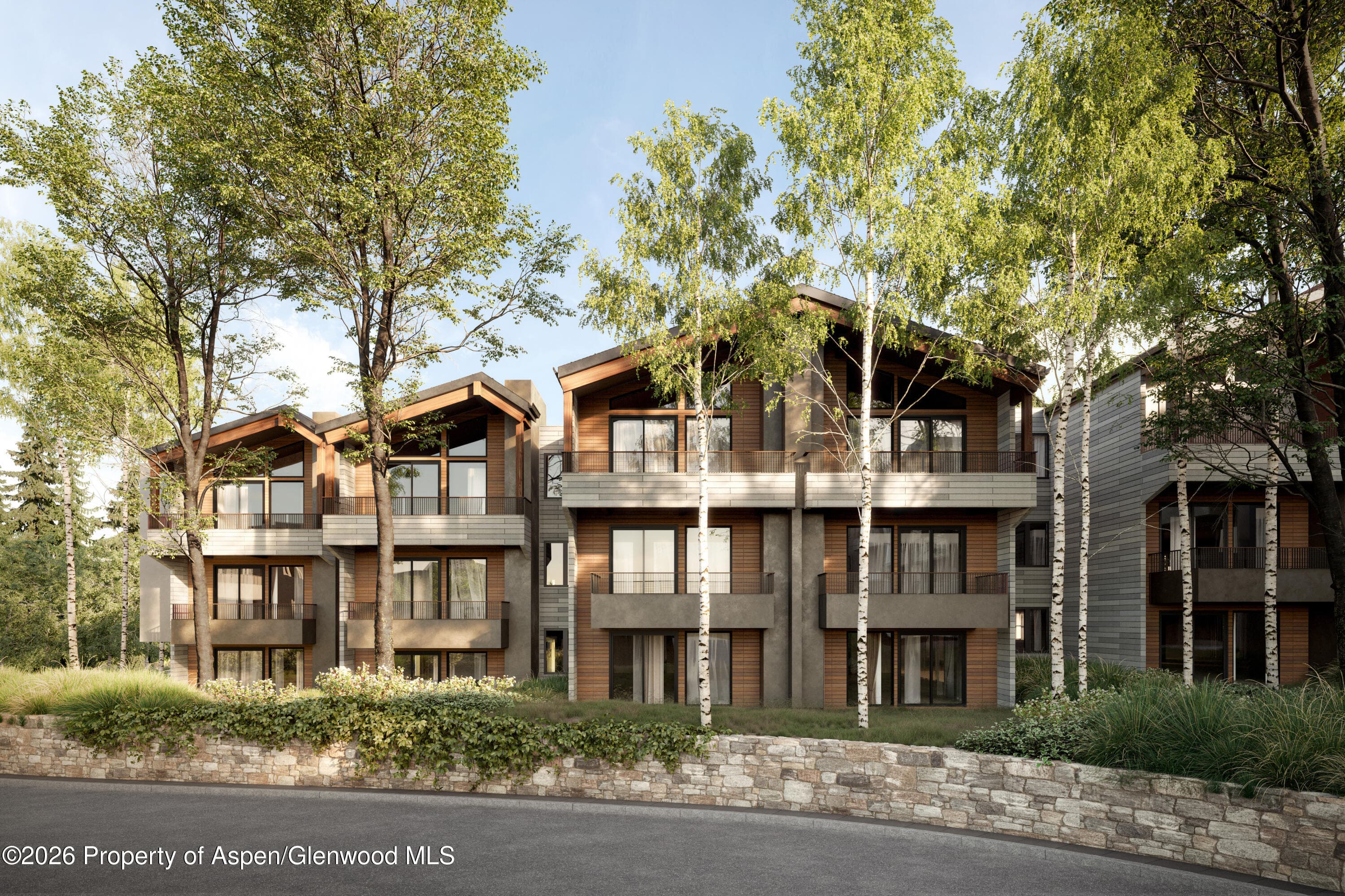 610 S West End Street D201, Aspen, CO 81611 - Photo 27
