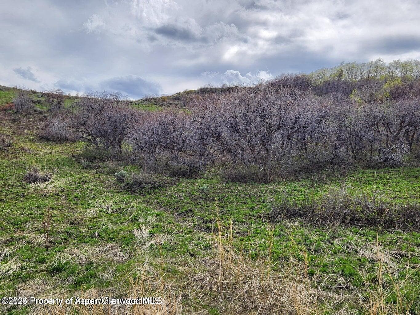 361 Sprout Drive, Craig, CO 81625 - Photo 4