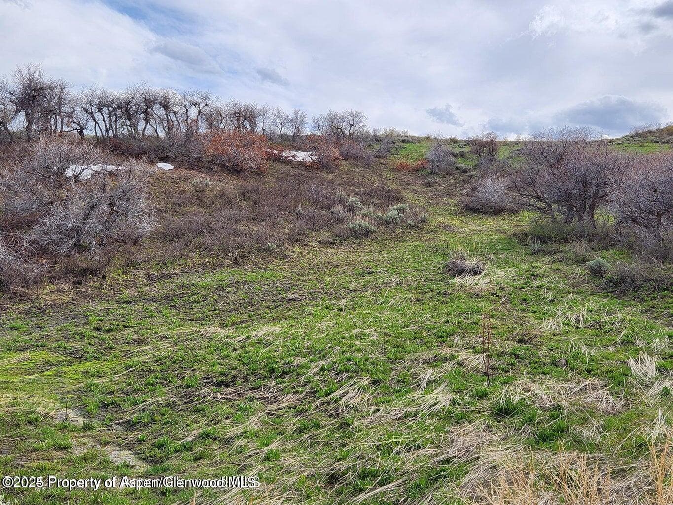 361 Sprout Drive, Craig, CO 81625 - Photo 5