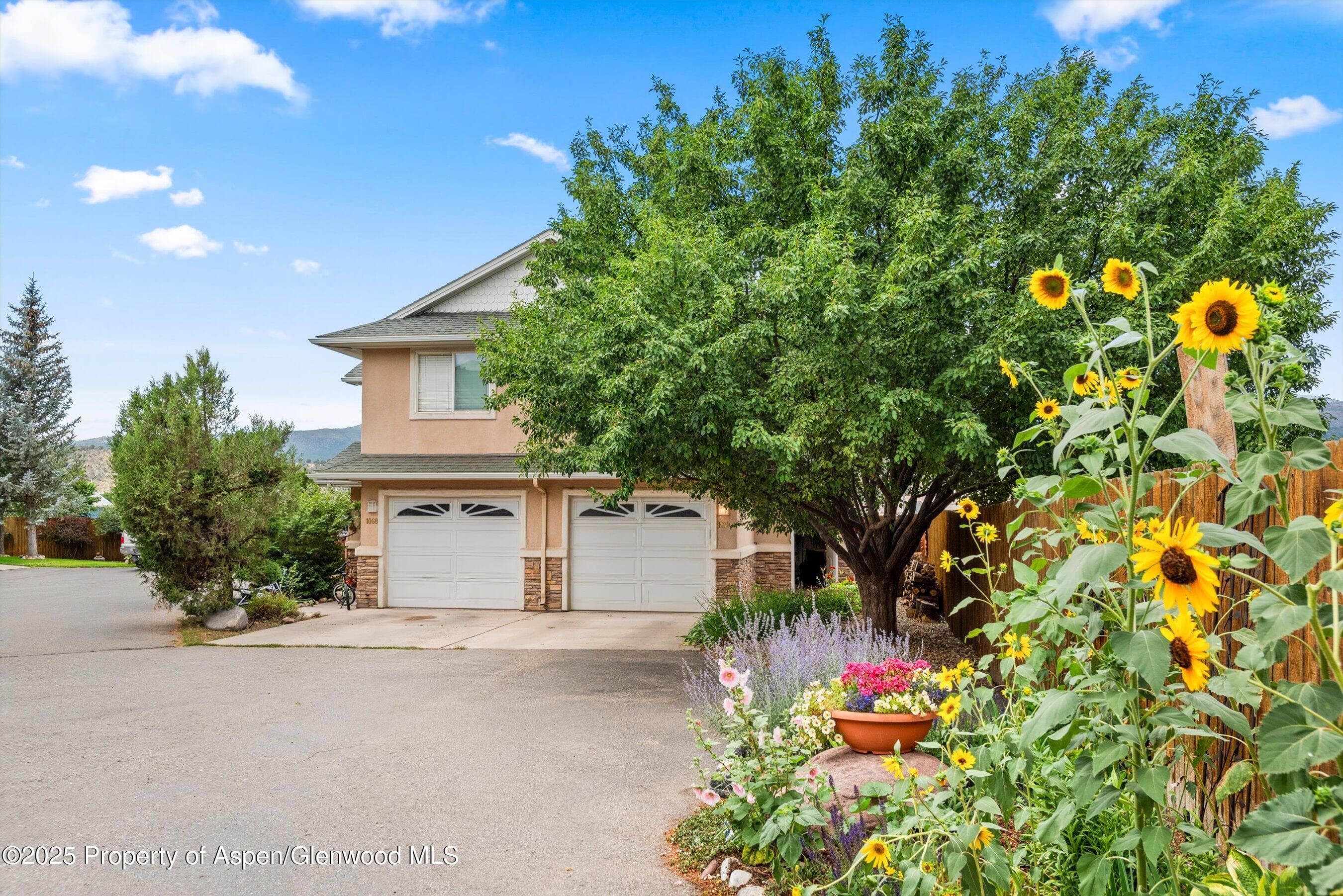 1070 Village Road, Carbondale, CO 81623 - Photo 3
