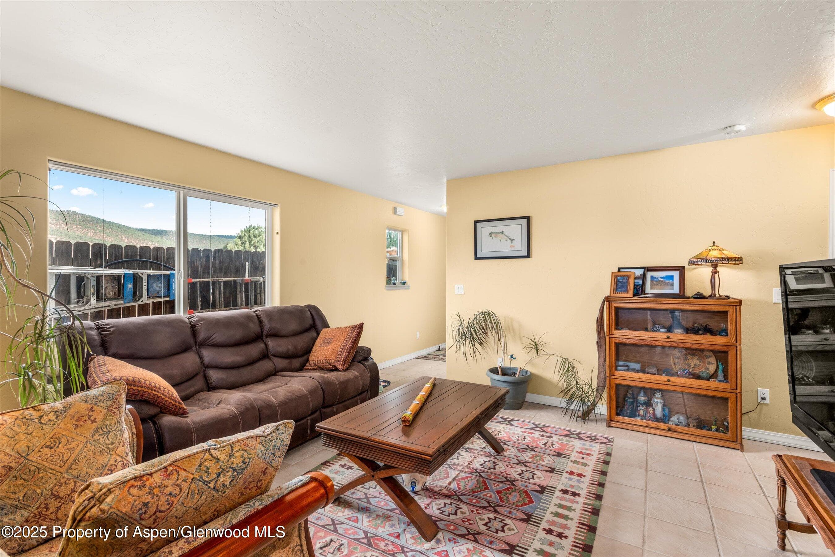 1070 Village Road, Carbondale, CO 81623 - Photo 6
