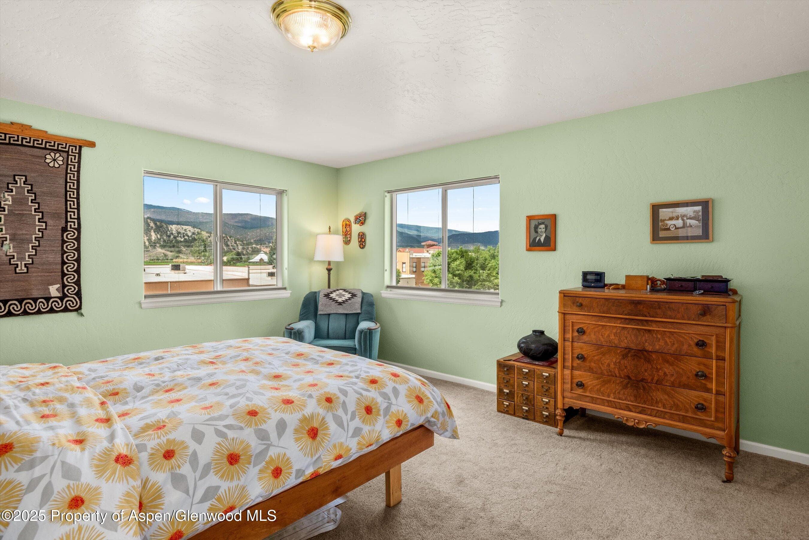 1070 Village Road, Carbondale, CO 81623 - Photo 22