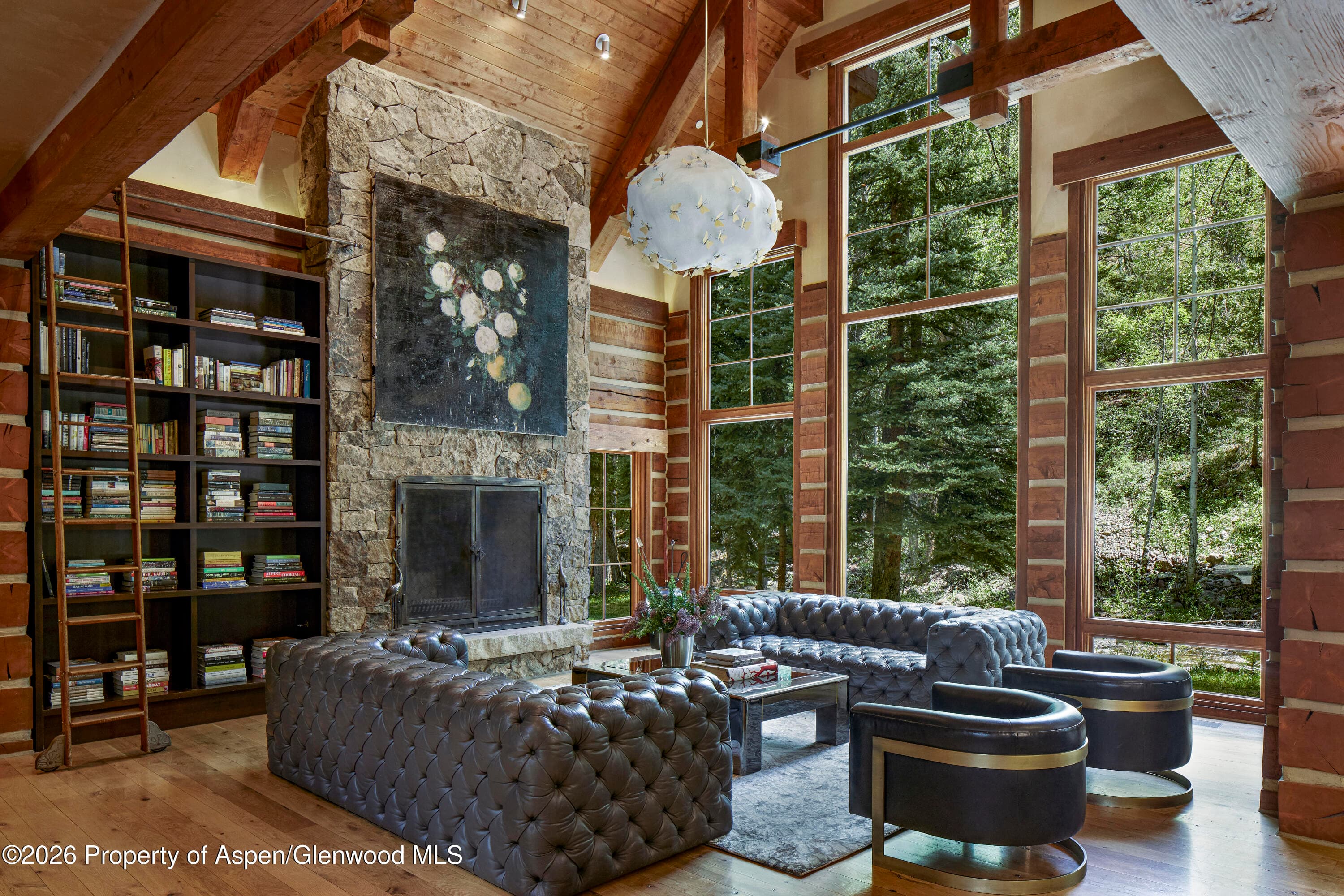 143 N Conundrum Creek Road, Aspen, CO 81611 - Photo 4