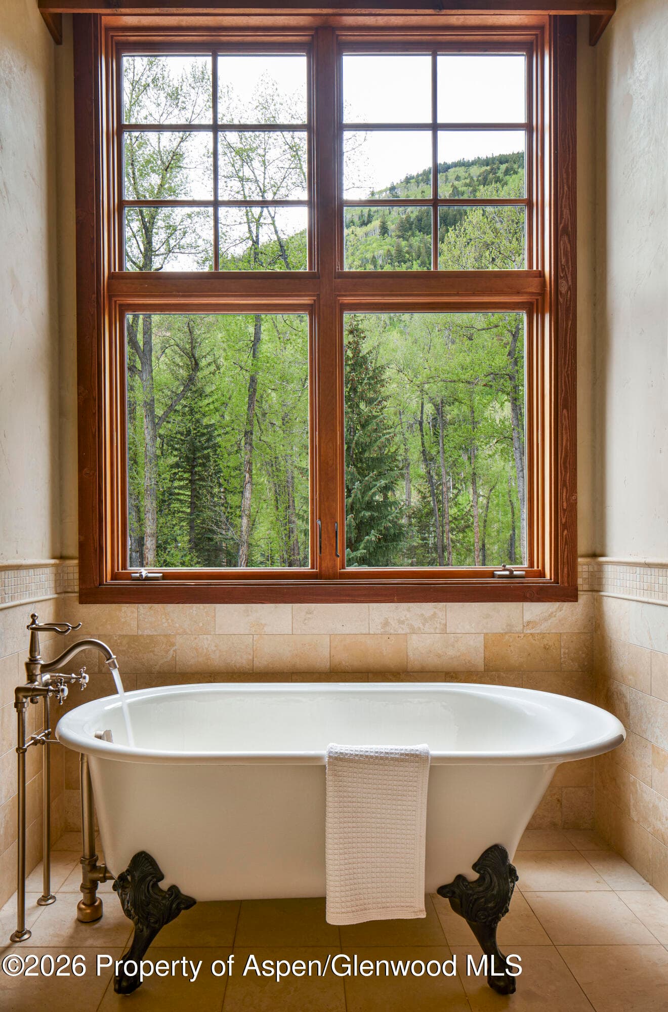 143 N Conundrum Creek Road, Aspen, CO 81611 - Photo 12