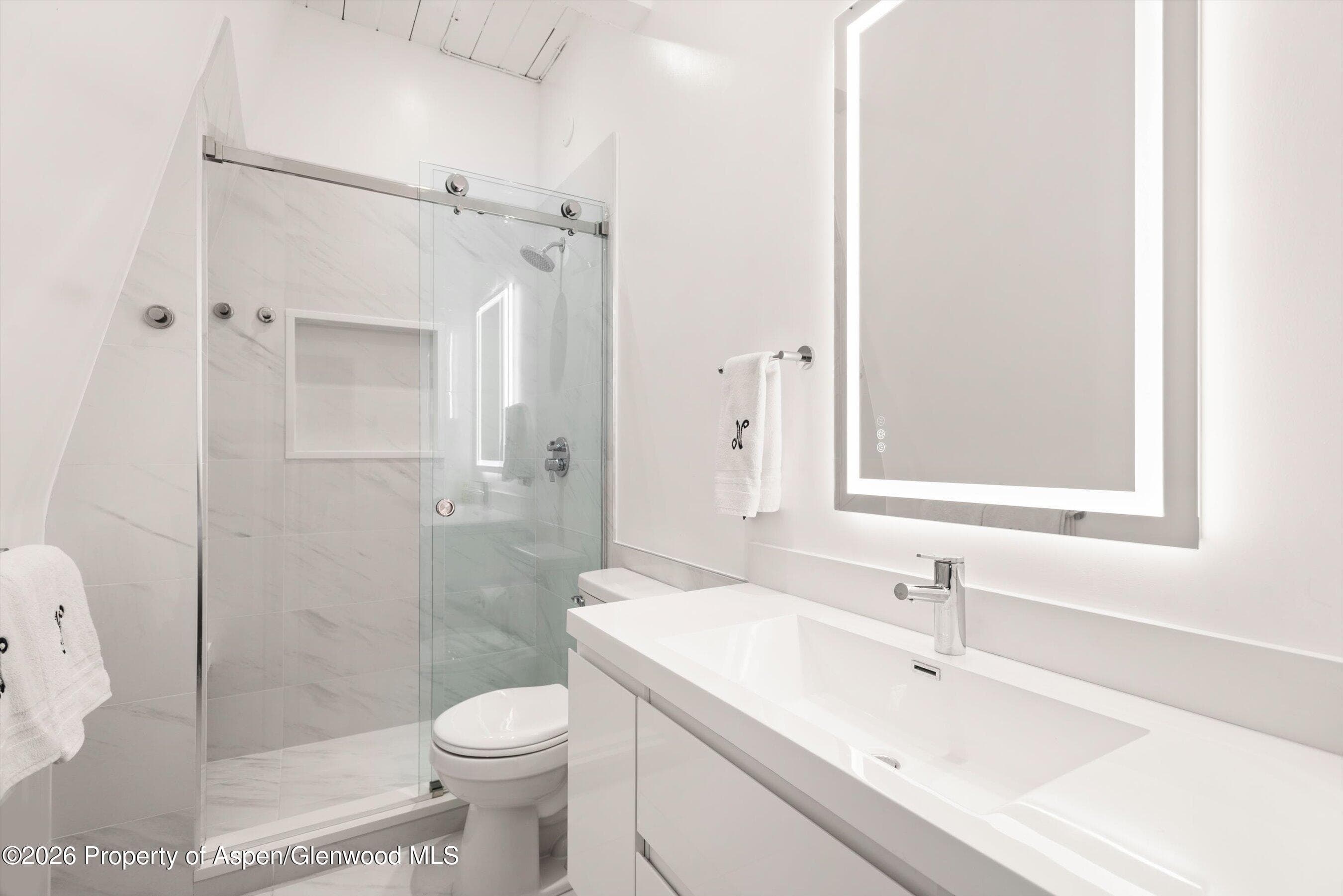 731 E Durant Avenue #18, Aspen, CO 81611 - Photo 12