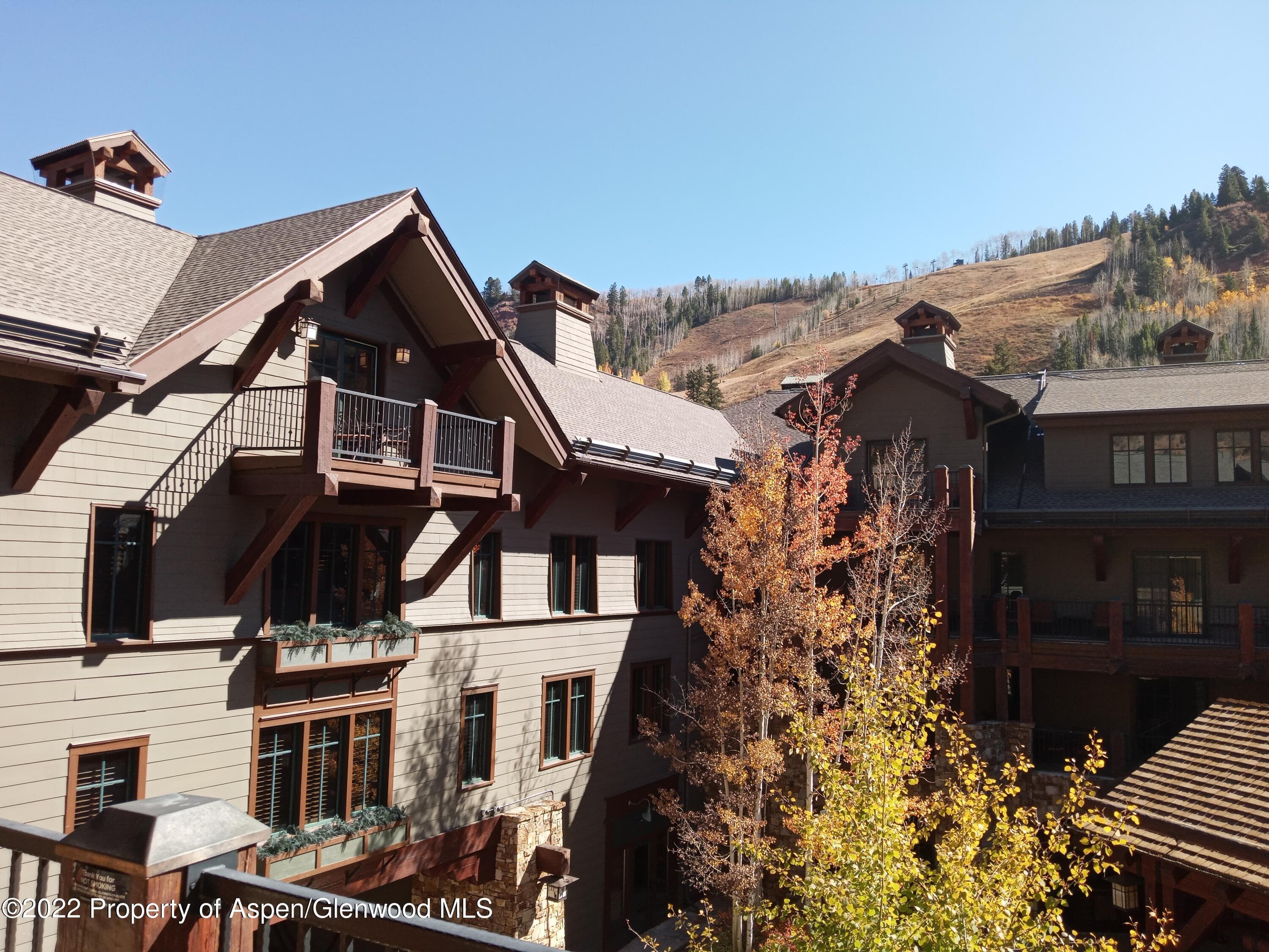 0075 Prospector Road Unit 8204 Winter Interest #5, Aspen, CO 81611 - Photo 27