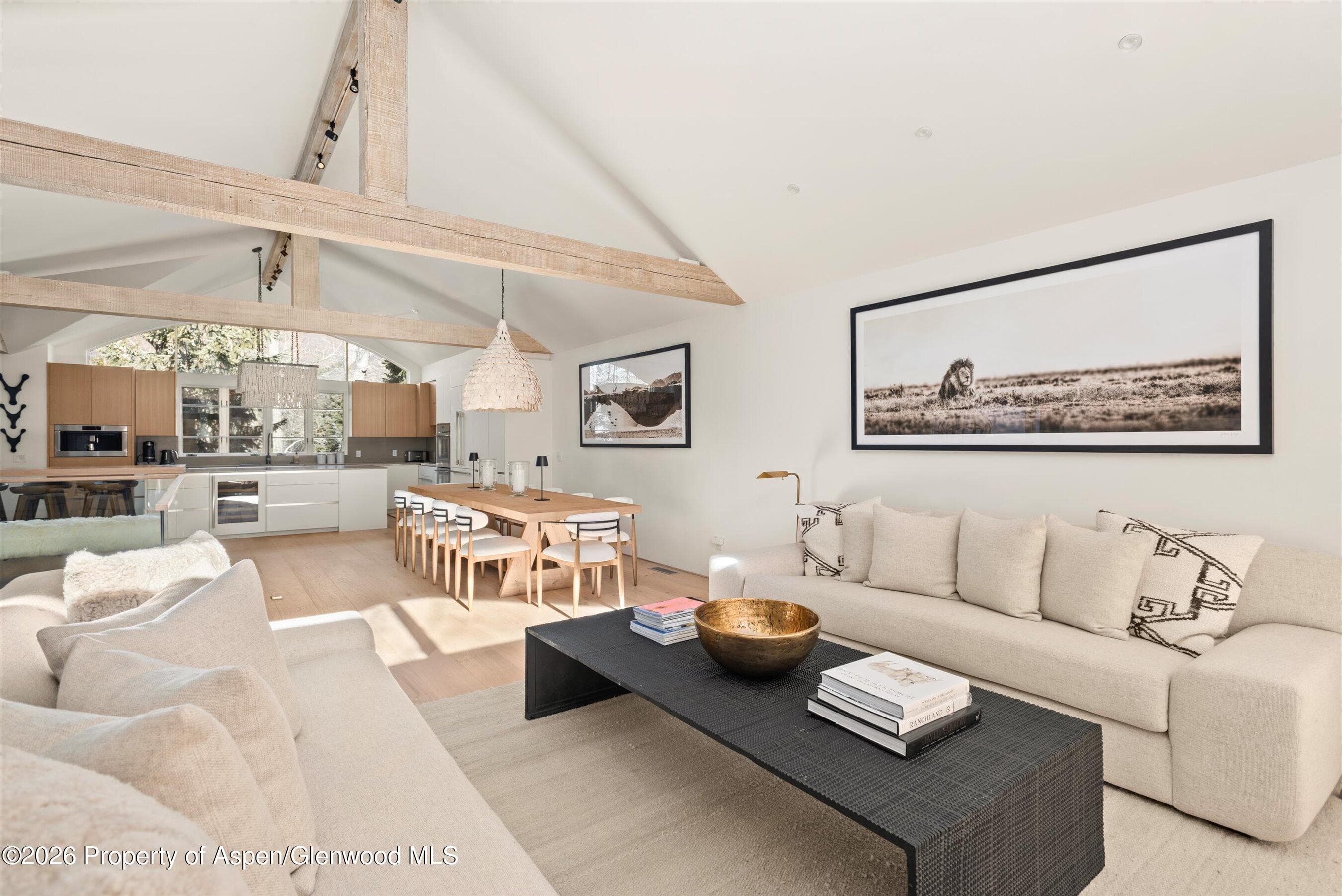 825 E Cooper Avenue, Aspen, CO 81611 - Photo 7