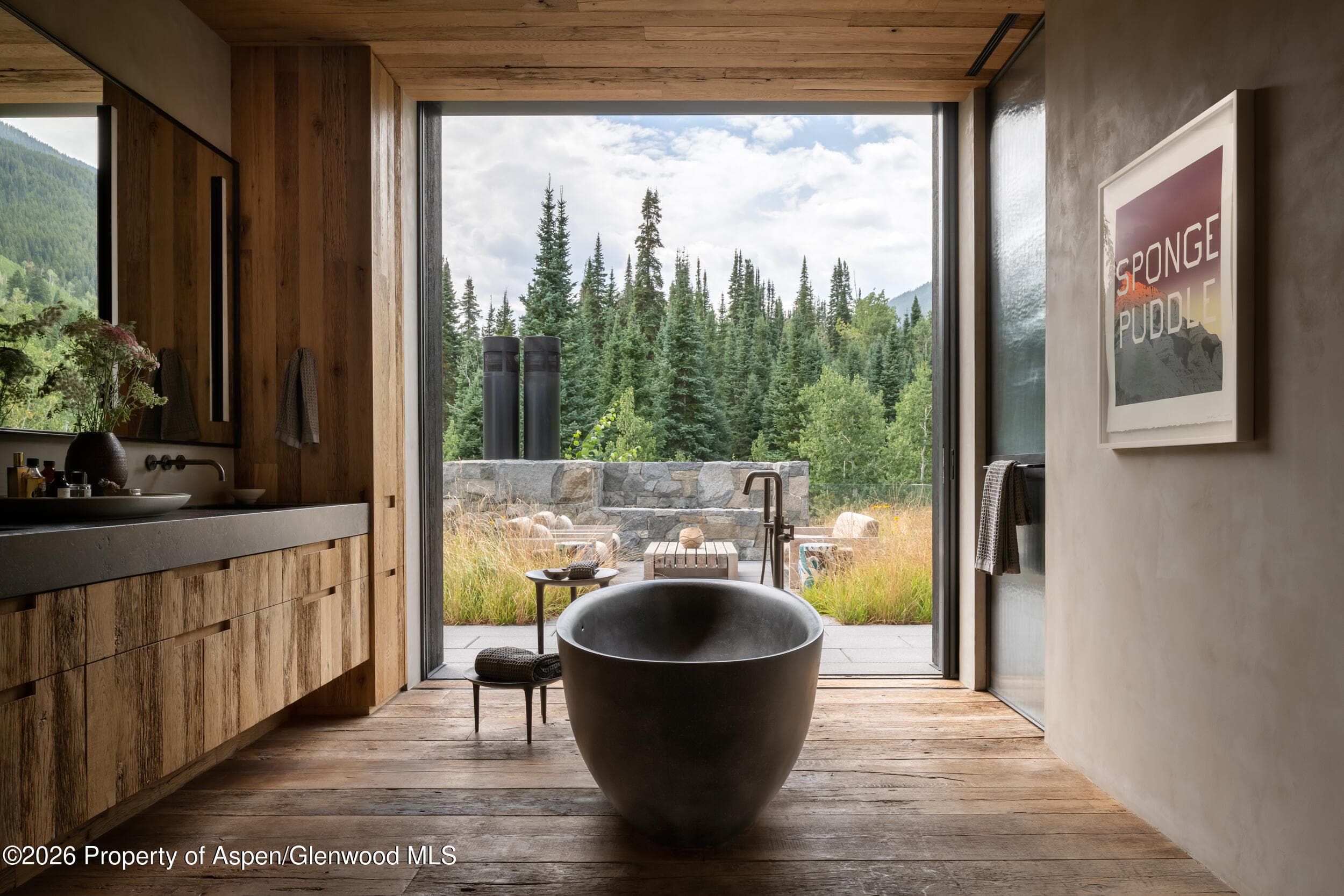 724 N Hayden Road, Aspen, CO 81611 - Photo 15
