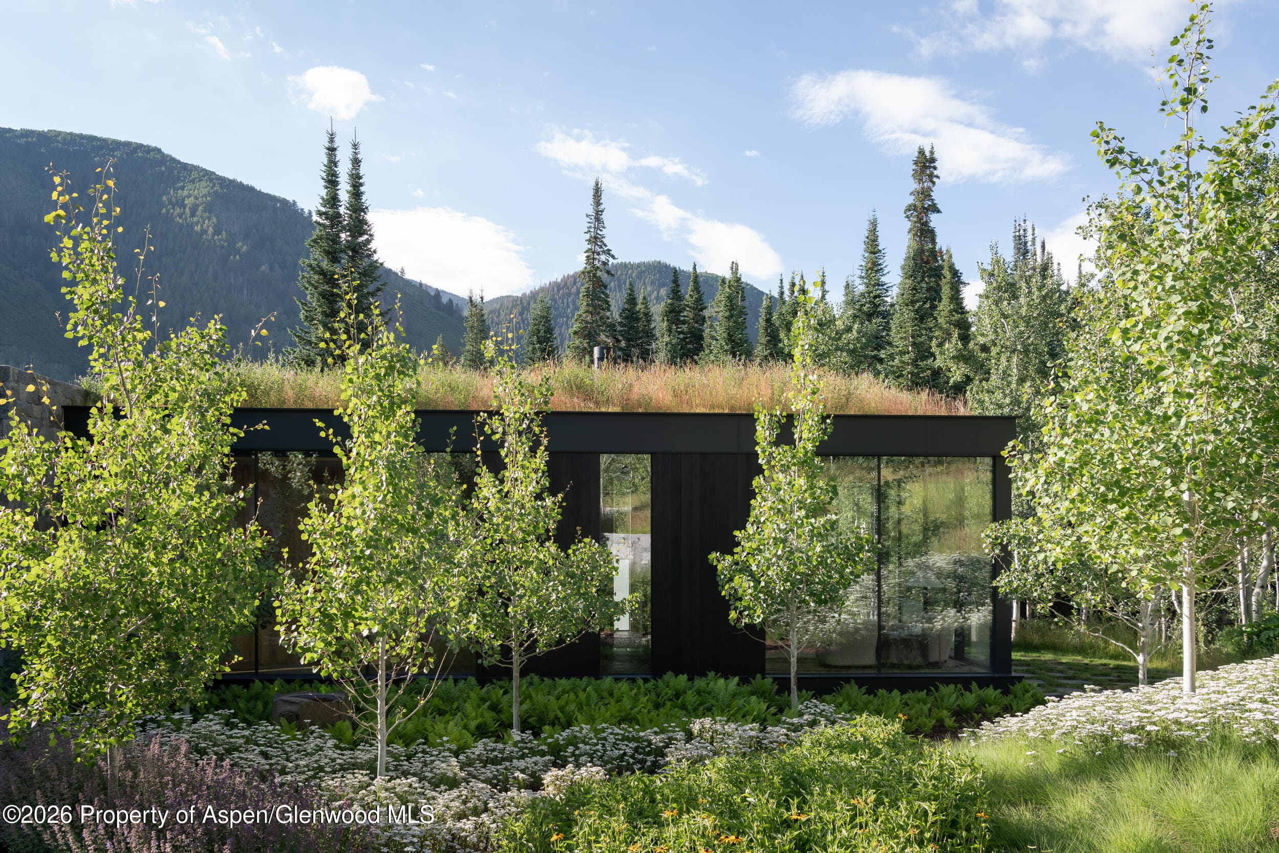 724 N Hayden Road, Aspen, CO 81611 - Photo 33