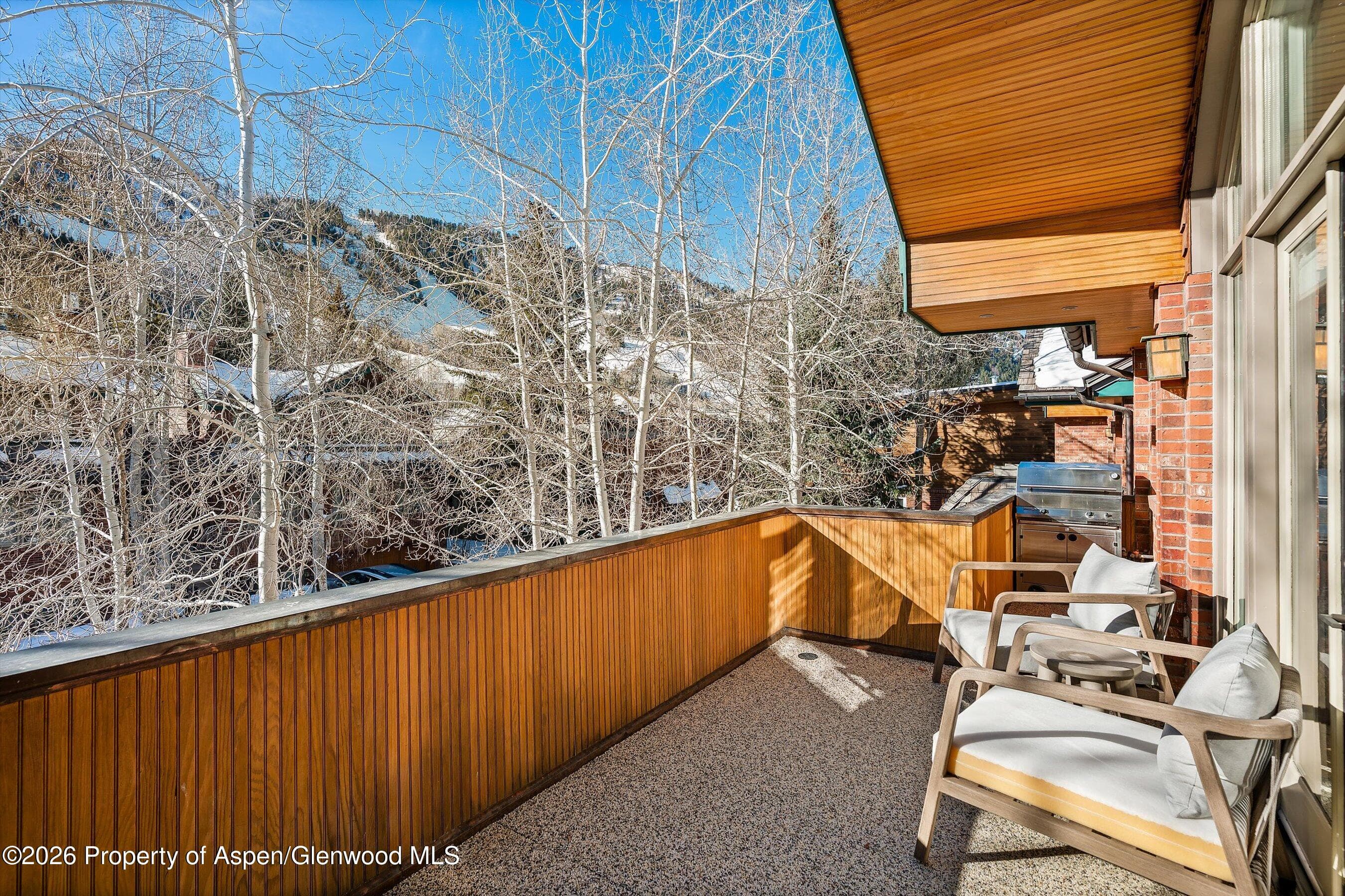825 E Cooper Avenue, Aspen, CO 81611 - Photo 6