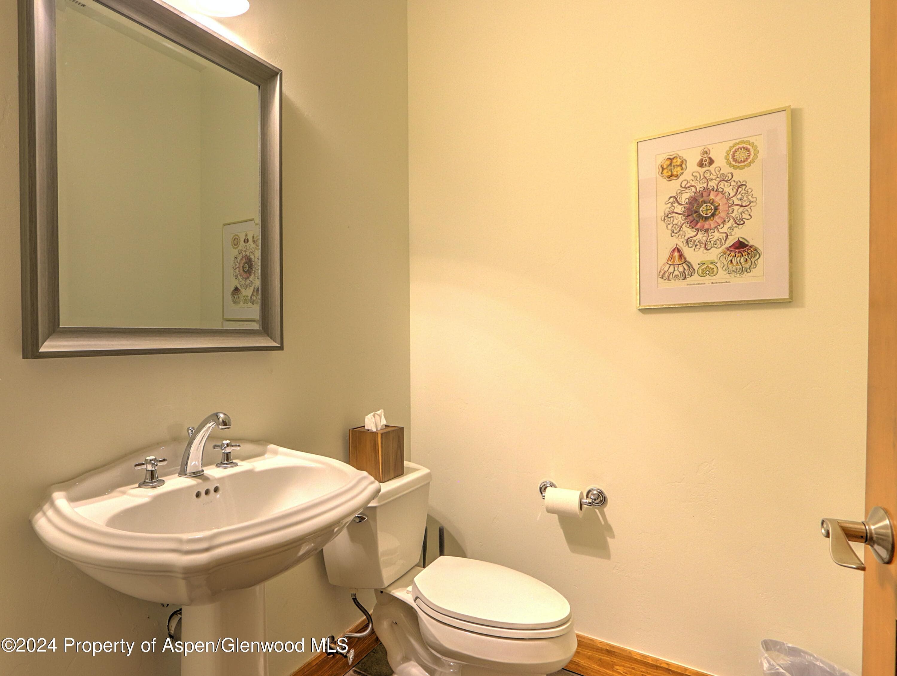 408 Settlement Lane, Carbondale, CO 81623 - Photo 15