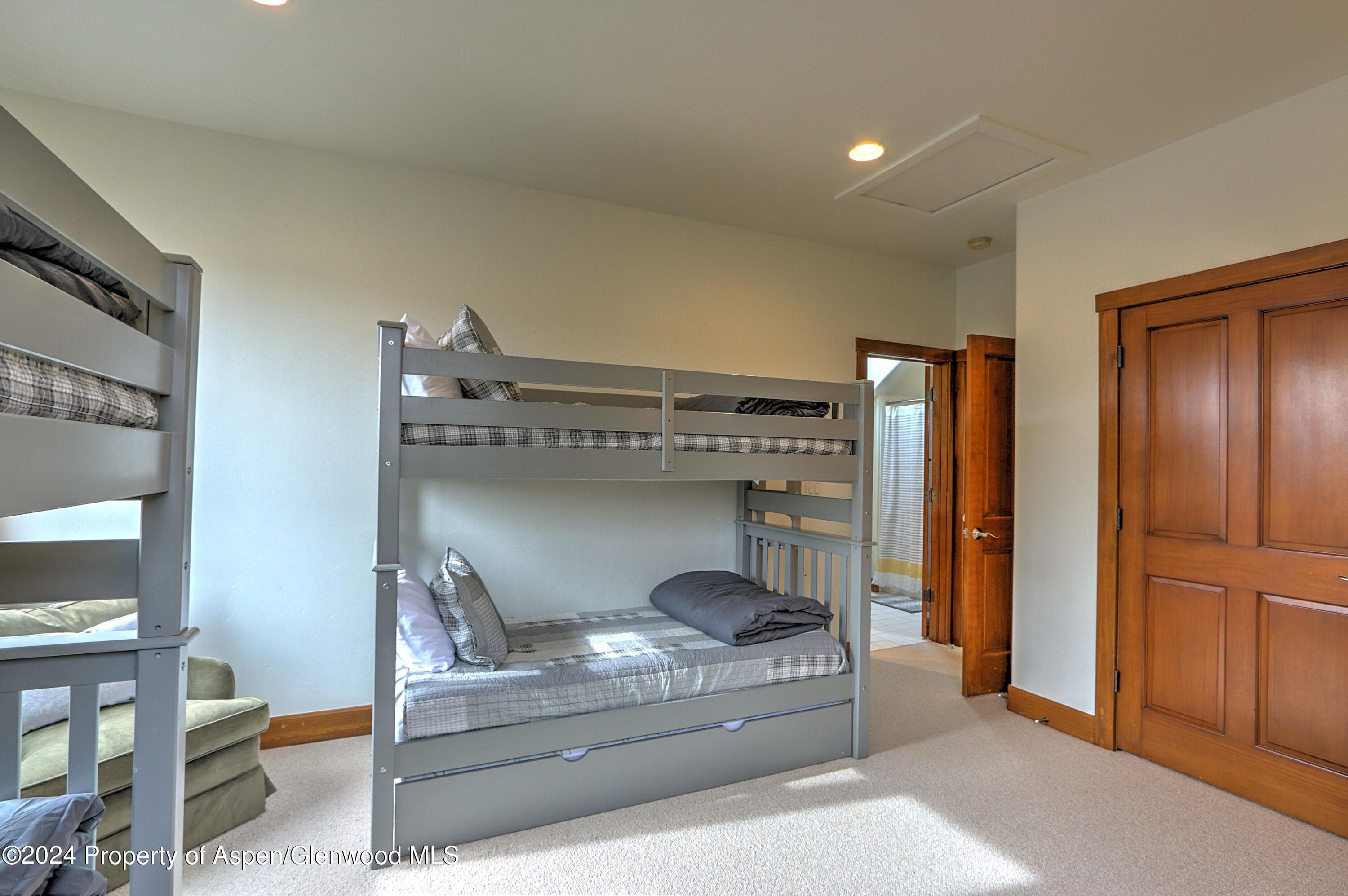 408 Settlement Lane, Carbondale, CO 81623 - Photo 20