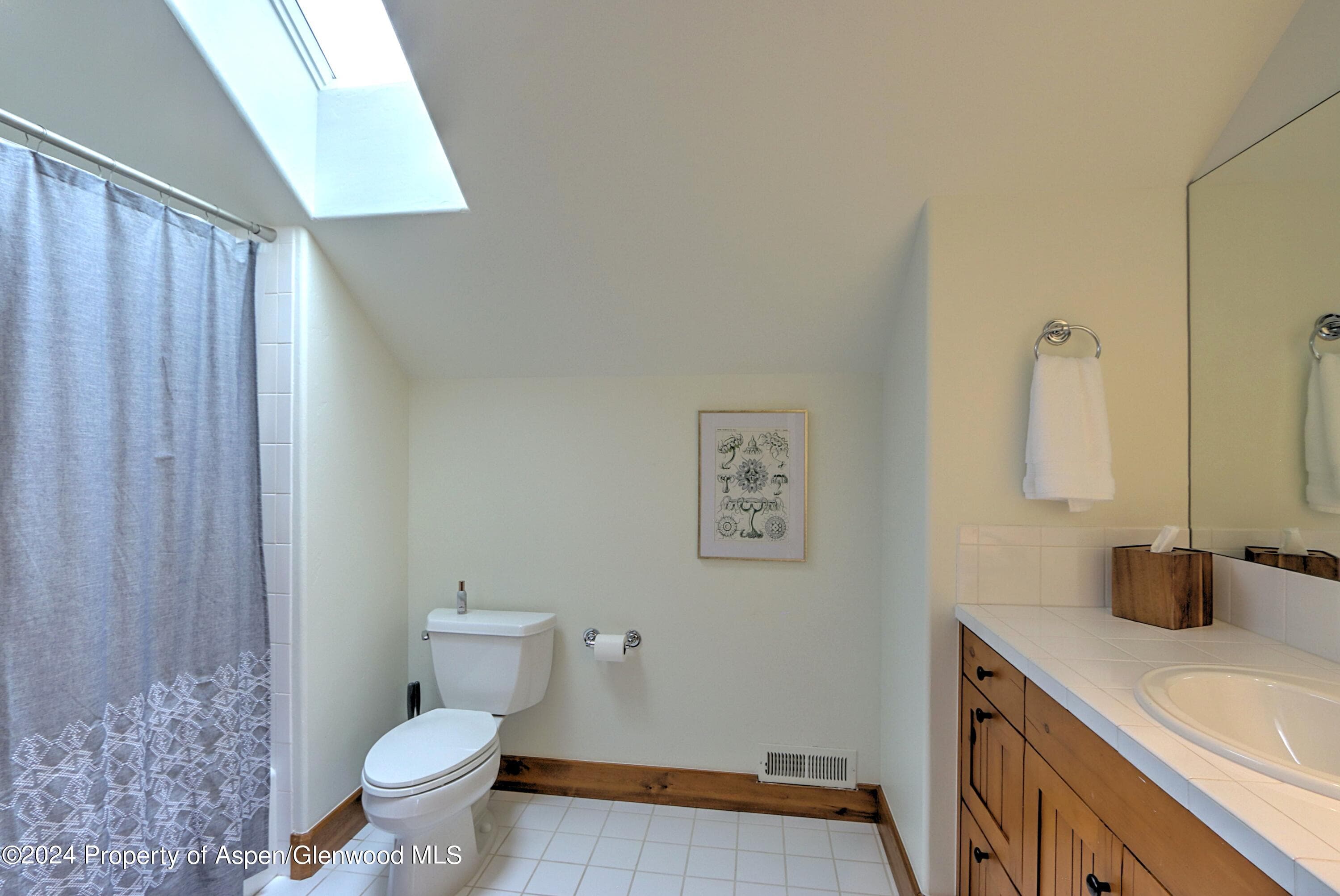 408 Settlement Lane, Carbondale, CO 81623 - Photo 40