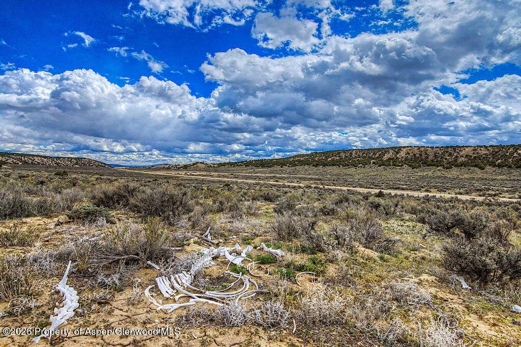 37801 Highway 318, Craig, CO 81625 - Photo 18