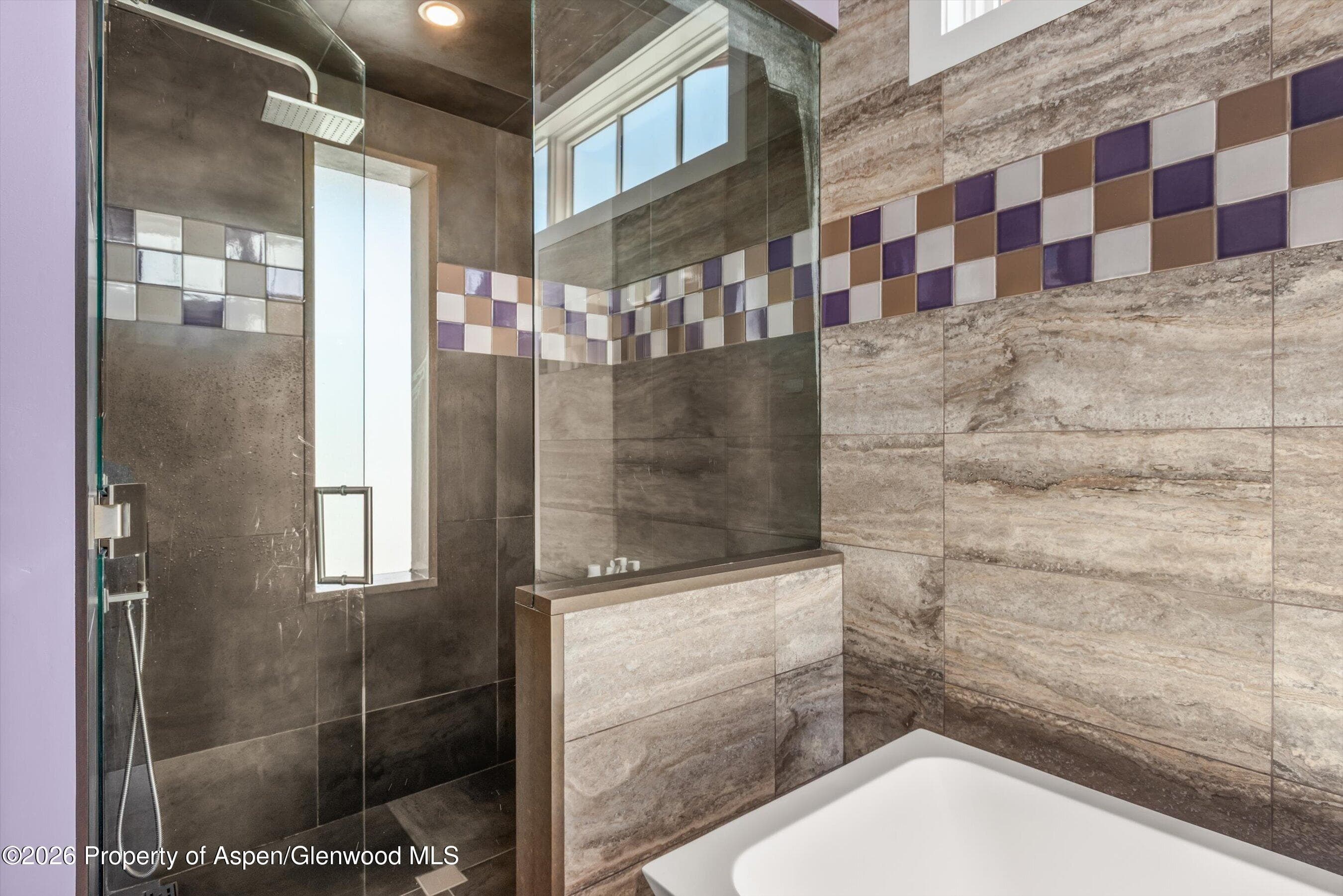 255 Little Pinon, Basalt, CO 81621 - Photo 41