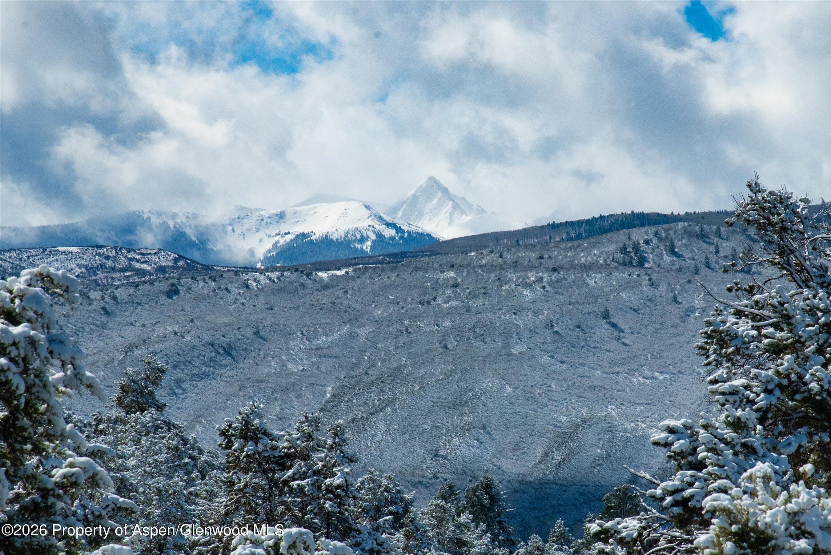 255 Little Pinon, Basalt, CO 81621 - Photo 65