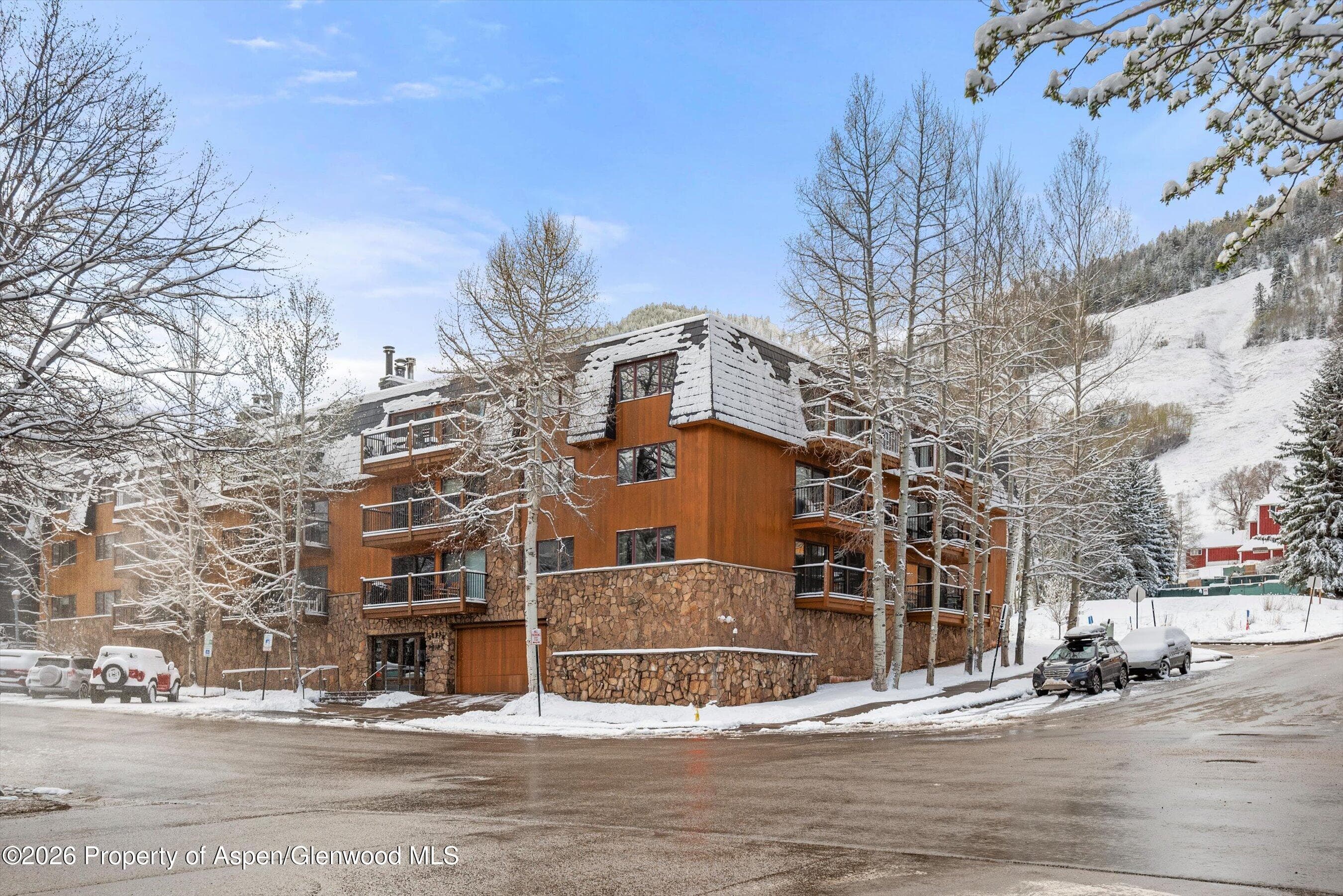 205 E Durant Avenue 3 G, Aspen, CO 81611 - Photo 14
