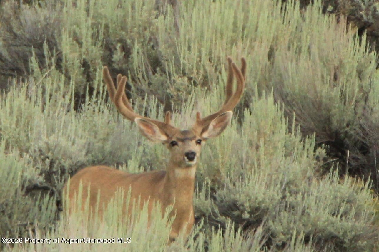 Tbd Highway 40, Craig, CO 81625 - Photo 1