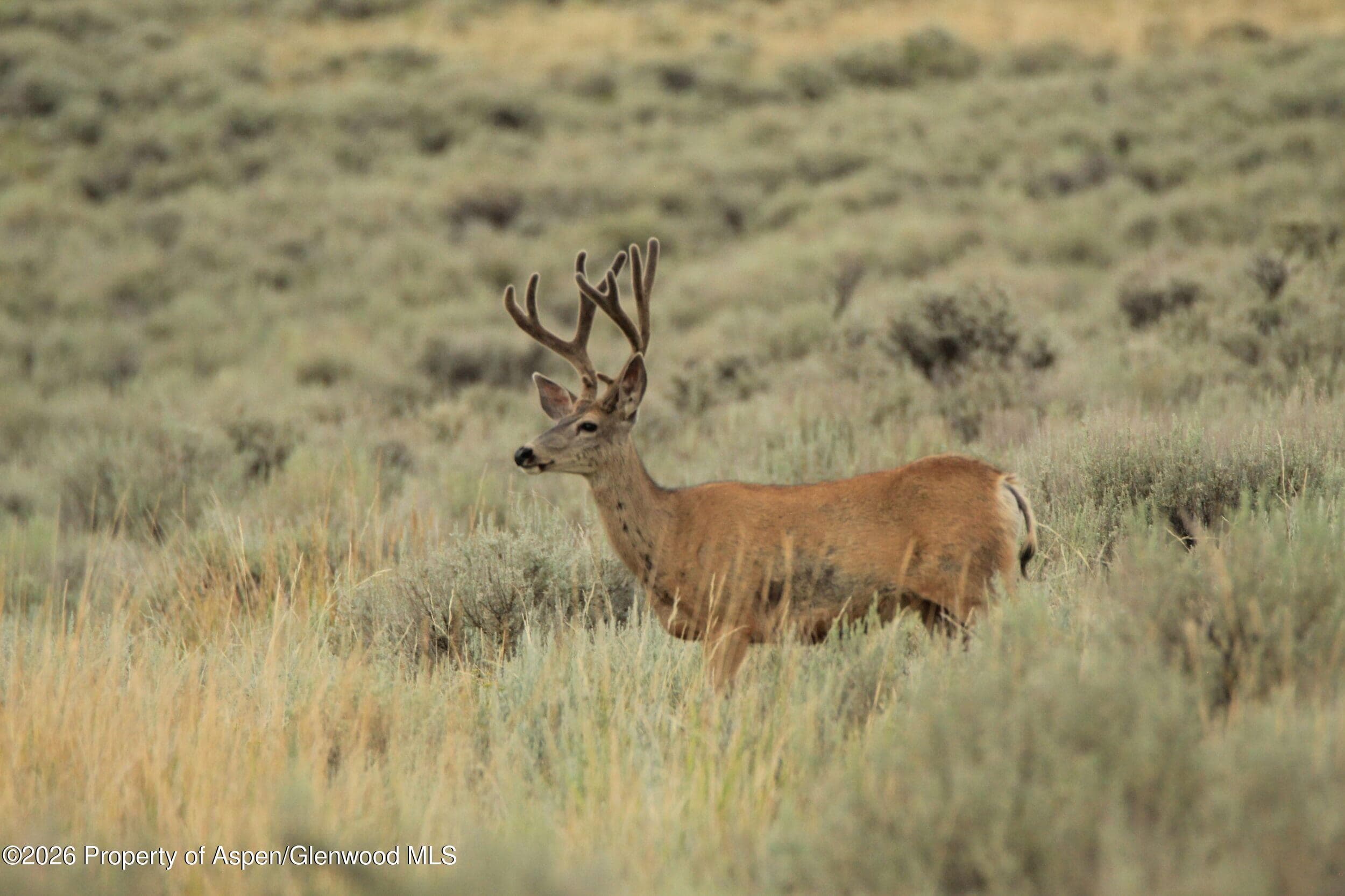 Tbd Highway 40, Craig, CO 81625 - Photo 7