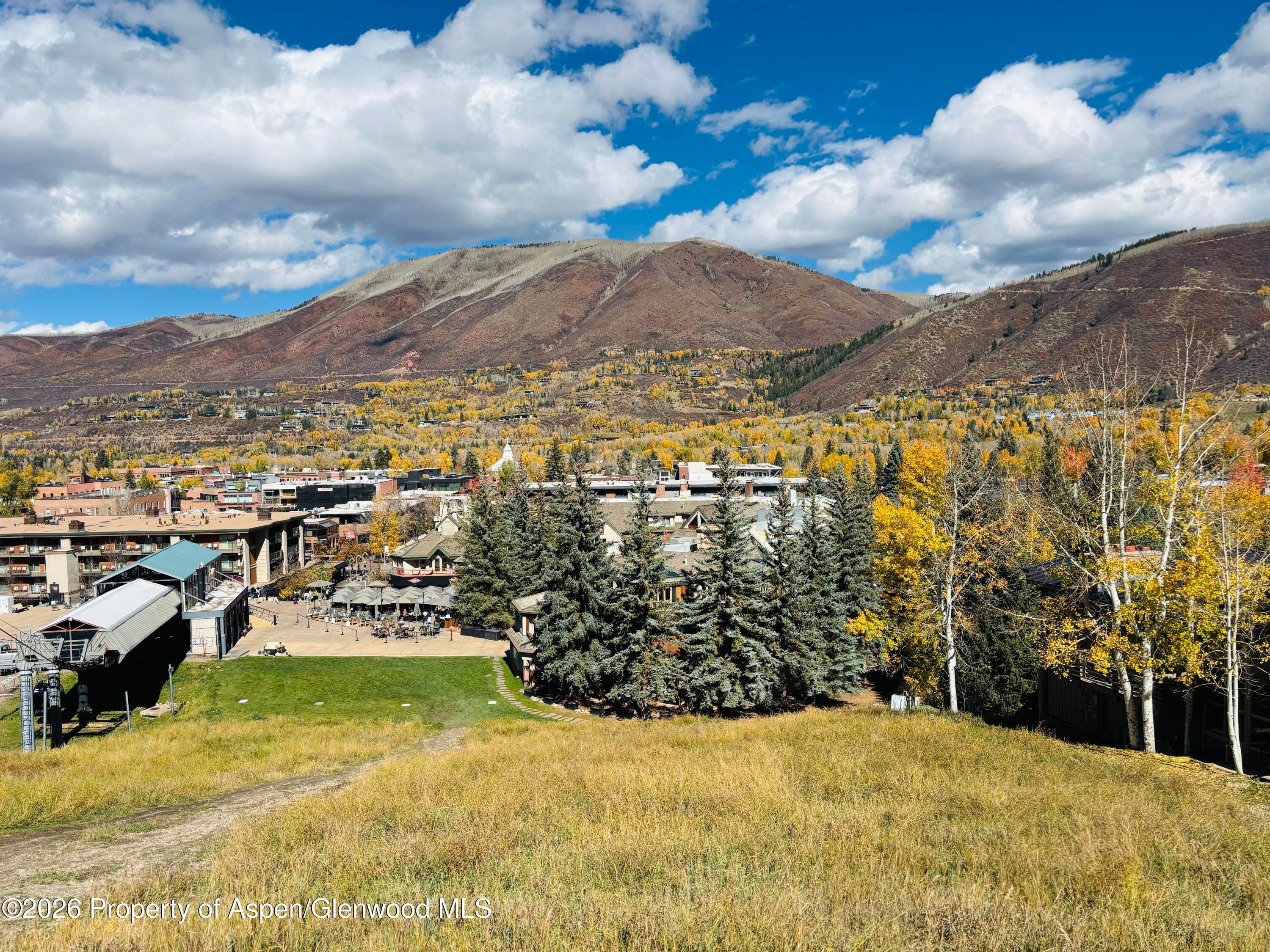 107 Aspen Mountain Road 9, Aspen, CO 81611 - Photo 18
