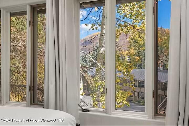 107 Aspen Mountain Road 9, Aspen, CO 81611 - Photo 10