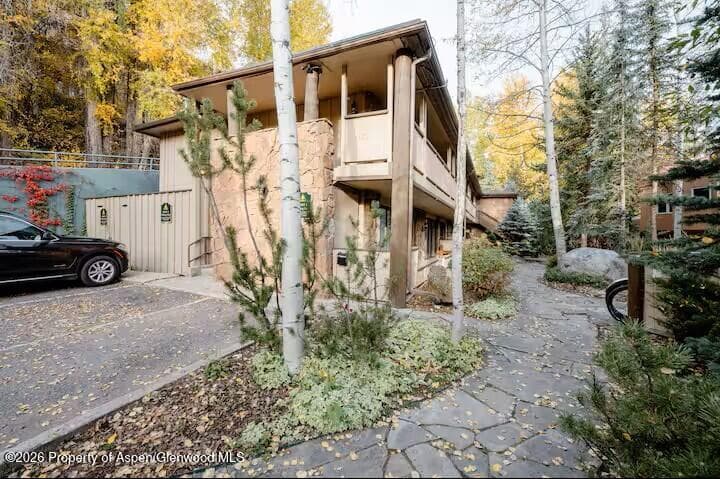 107 Aspen Mountain Road 9, Aspen, CO 81611 - Photo 16
