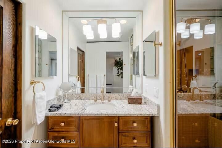 107 Aspen Mountain Road 9, Aspen, CO 81611 - Photo 11