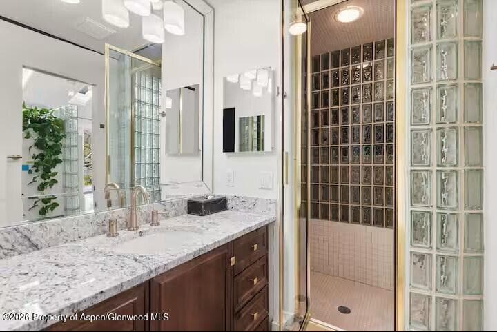 107 Aspen Mountain Road 9, Aspen, CO 81611 - Photo 12