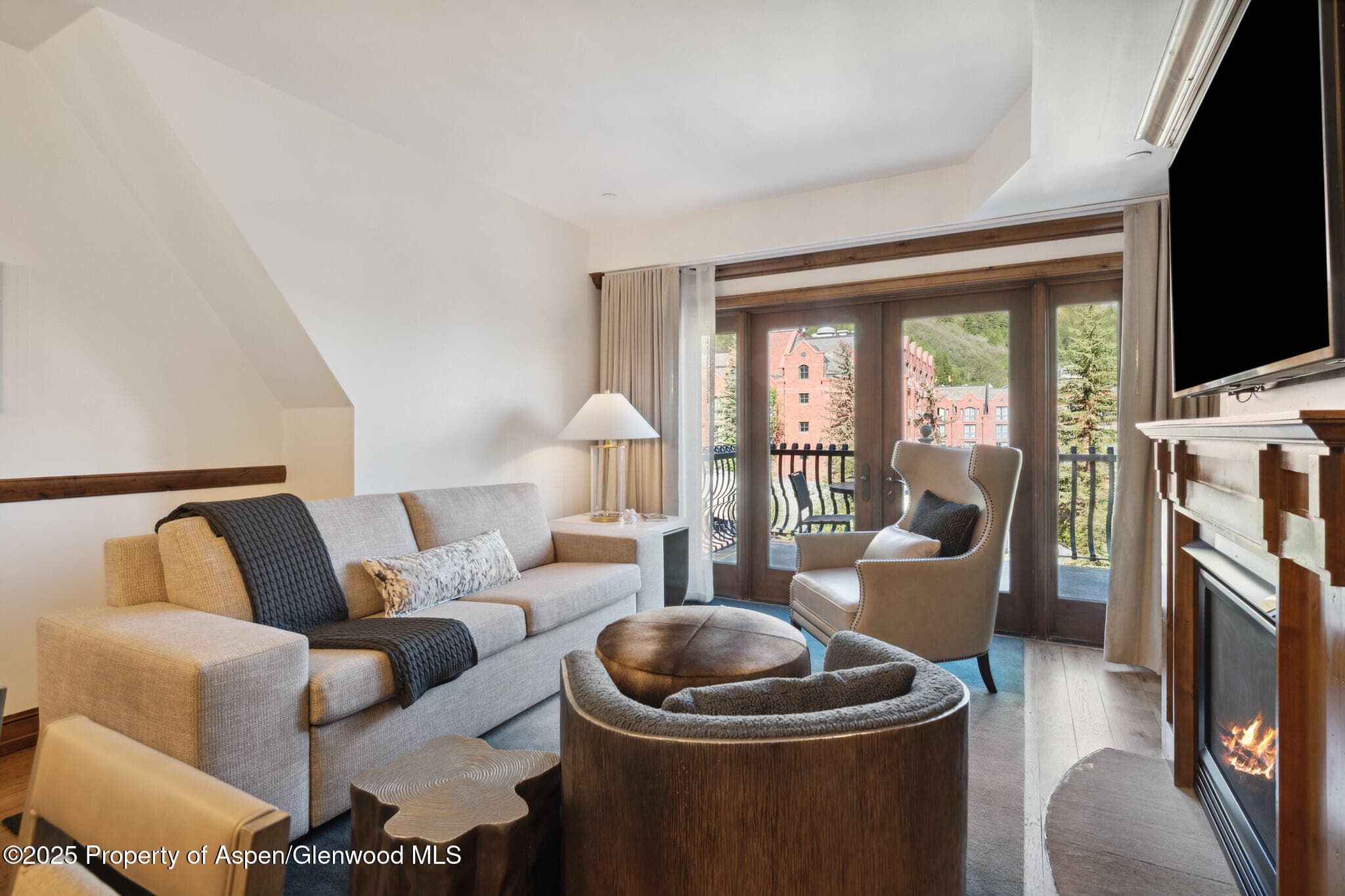 415 E Dean St, Unit 48, Week 8, Aspen, CO 81611 - Photo 5