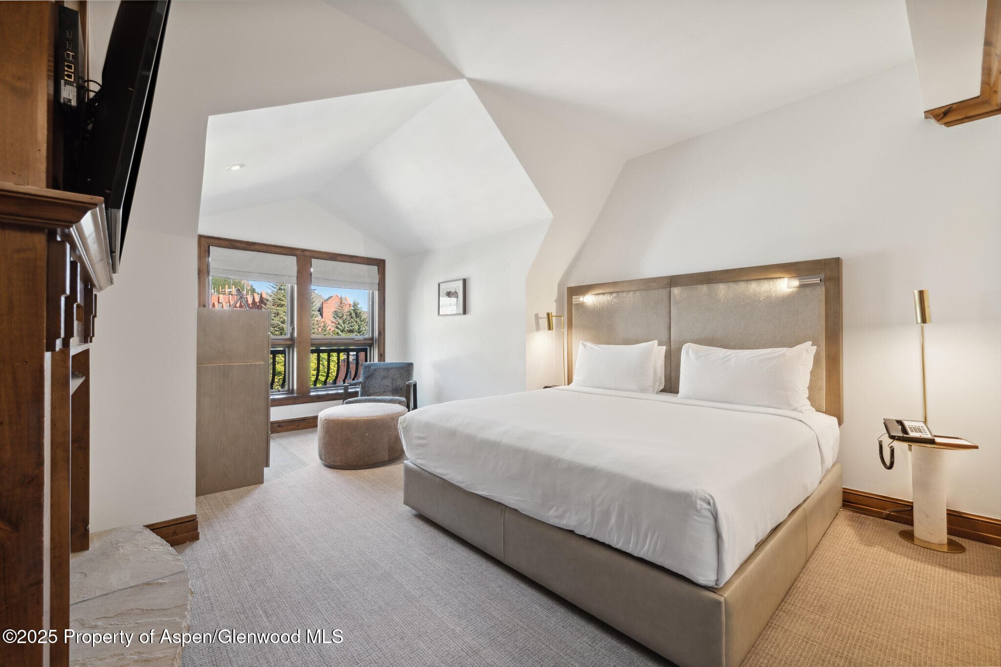 415 E Dean St, Unit 48, Week 8, Aspen, CO 81611 - Photo 14