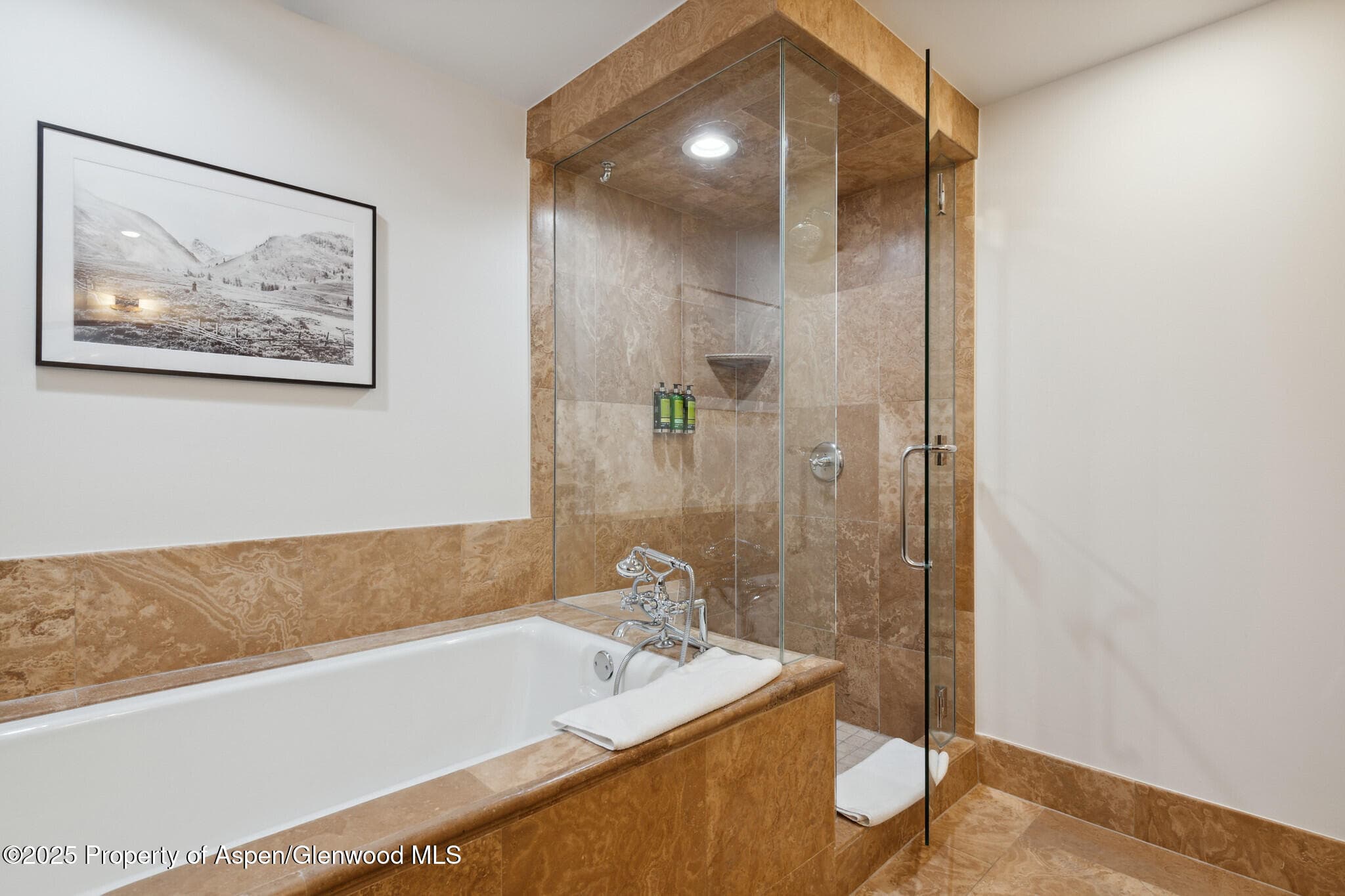 415 E Dean St, Unit 48, Week 8, Aspen, CO 81611 - Photo 21