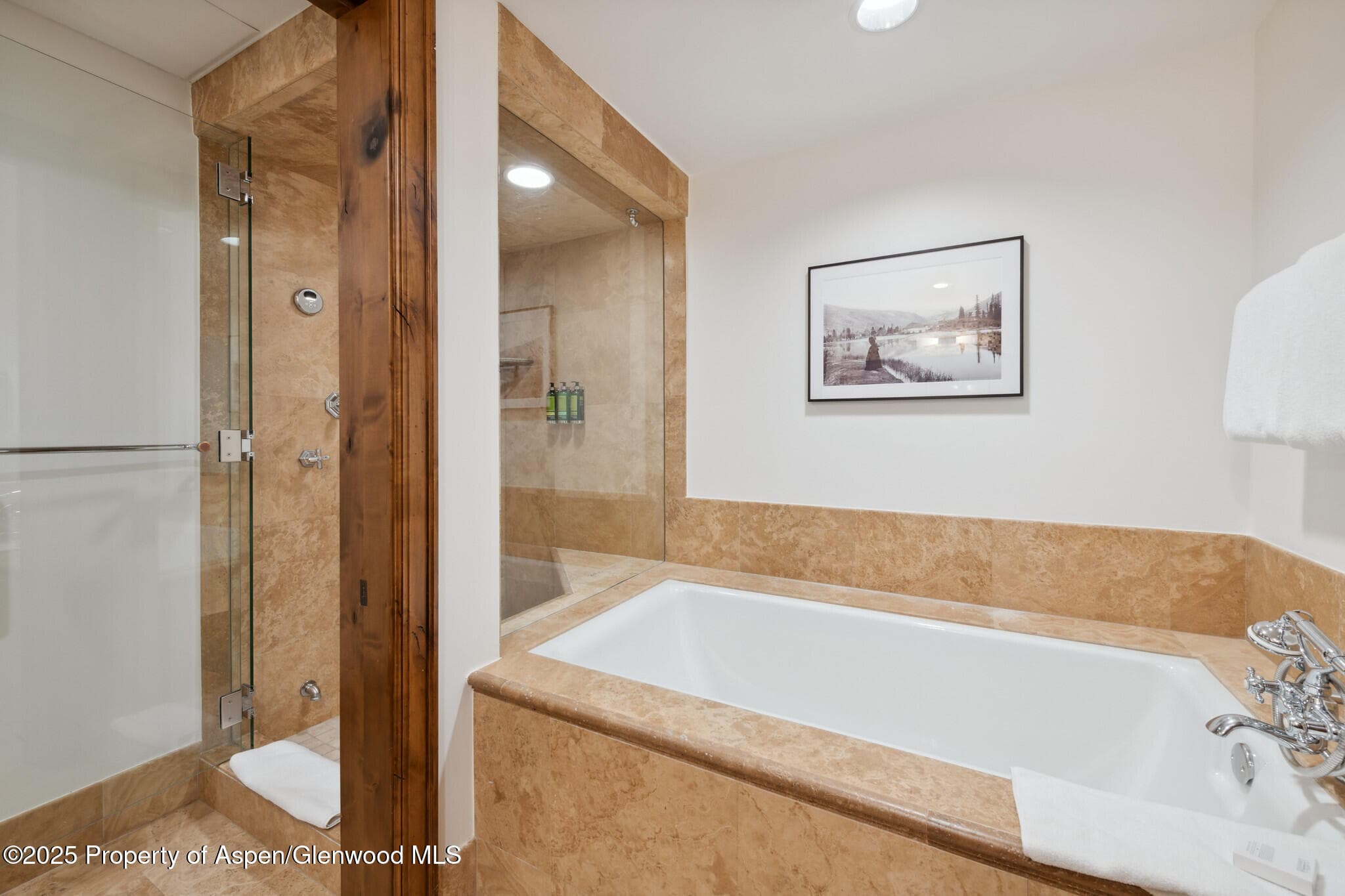 415 E Dean St, Unit 48, Week 8, Aspen, CO 81611 - Photo 27