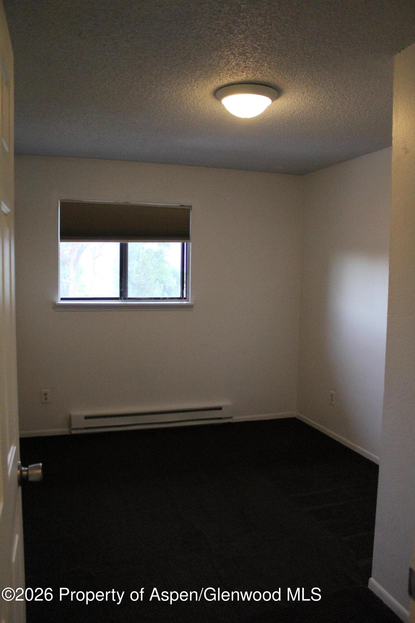 1322 E 7th Street, Rifle, CO 81650 - Photo 6