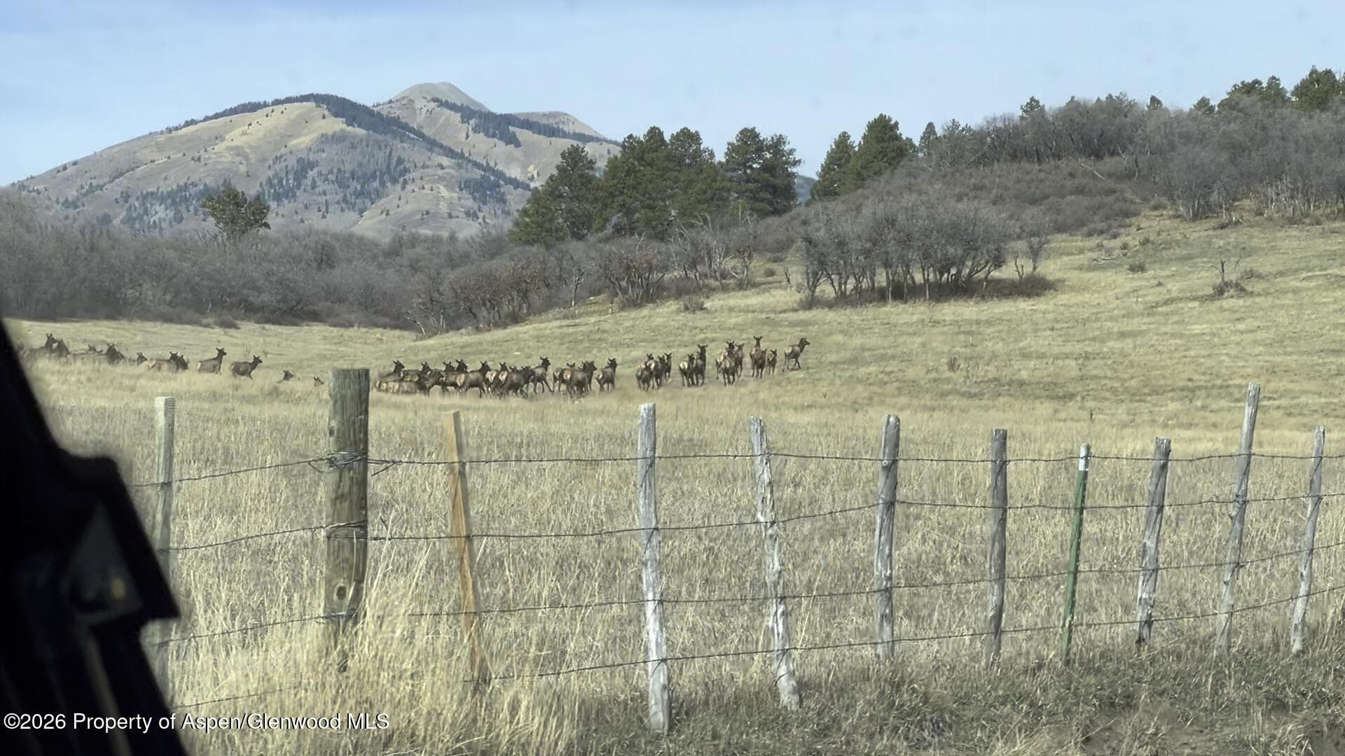 1368 Cr 124, Durango, CO 81301 - Photo 3