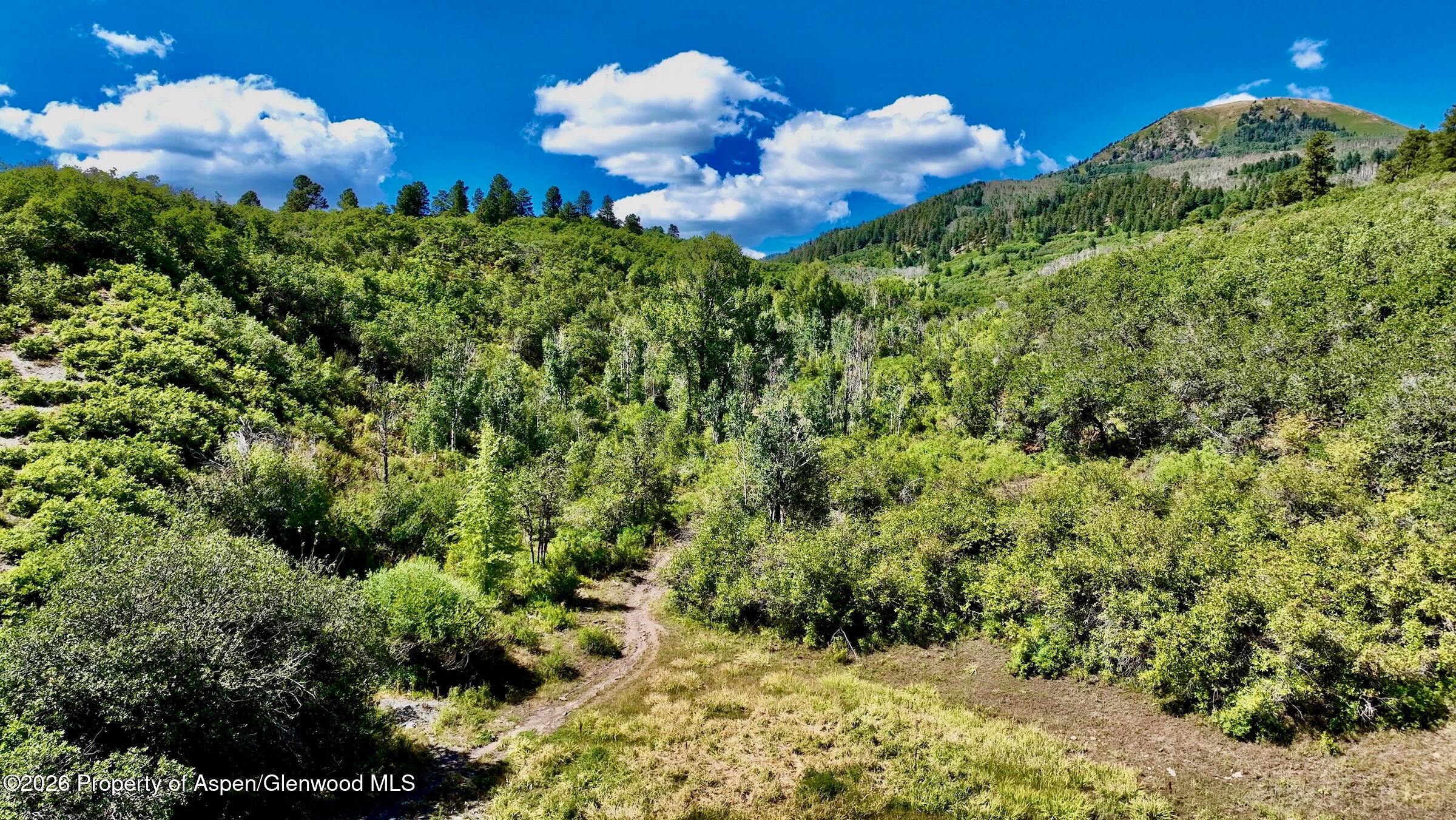 1368 Cr 124, Durango, CO 81301 - Photo 7